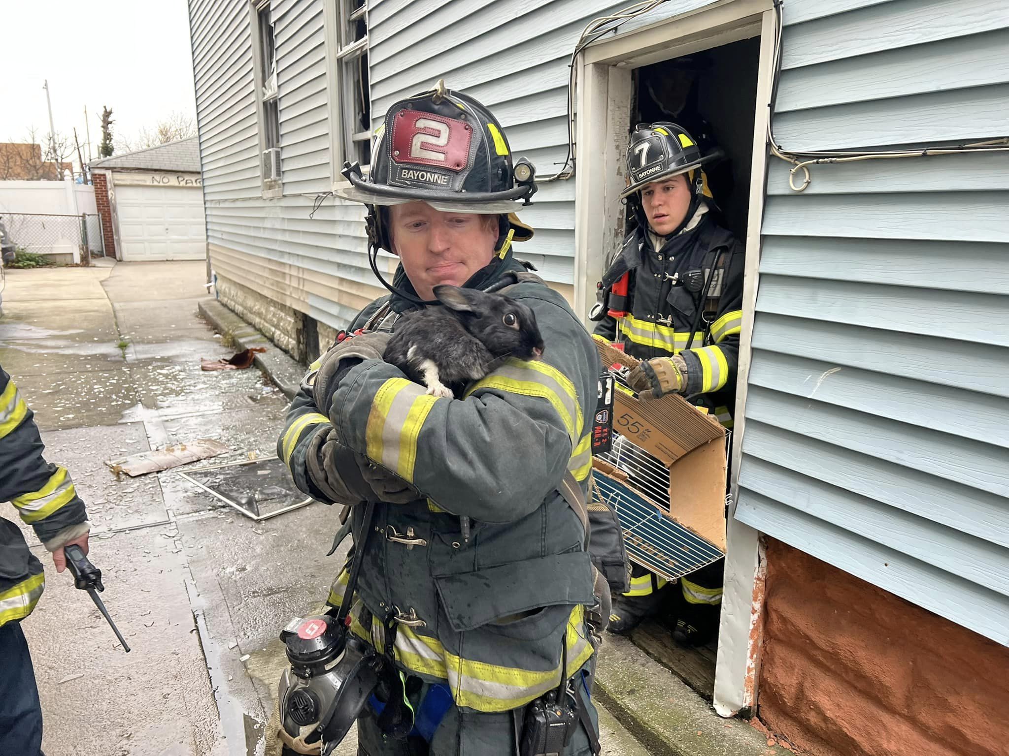 A Bunny Thing Happened On The Way To Putting Out A Bayonne Fire