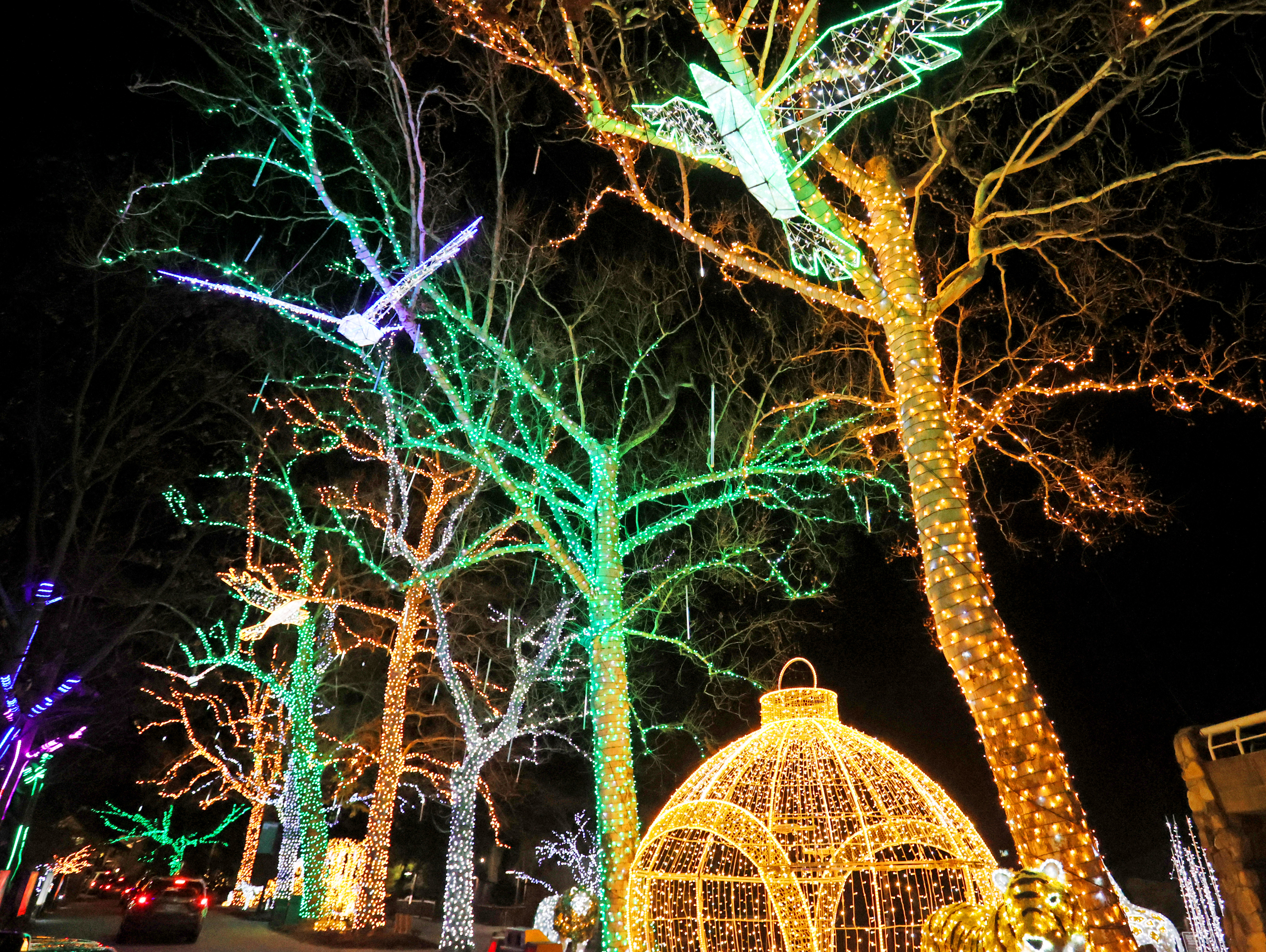 Cleveland Zoo is lit bright in an array of stunning colors during