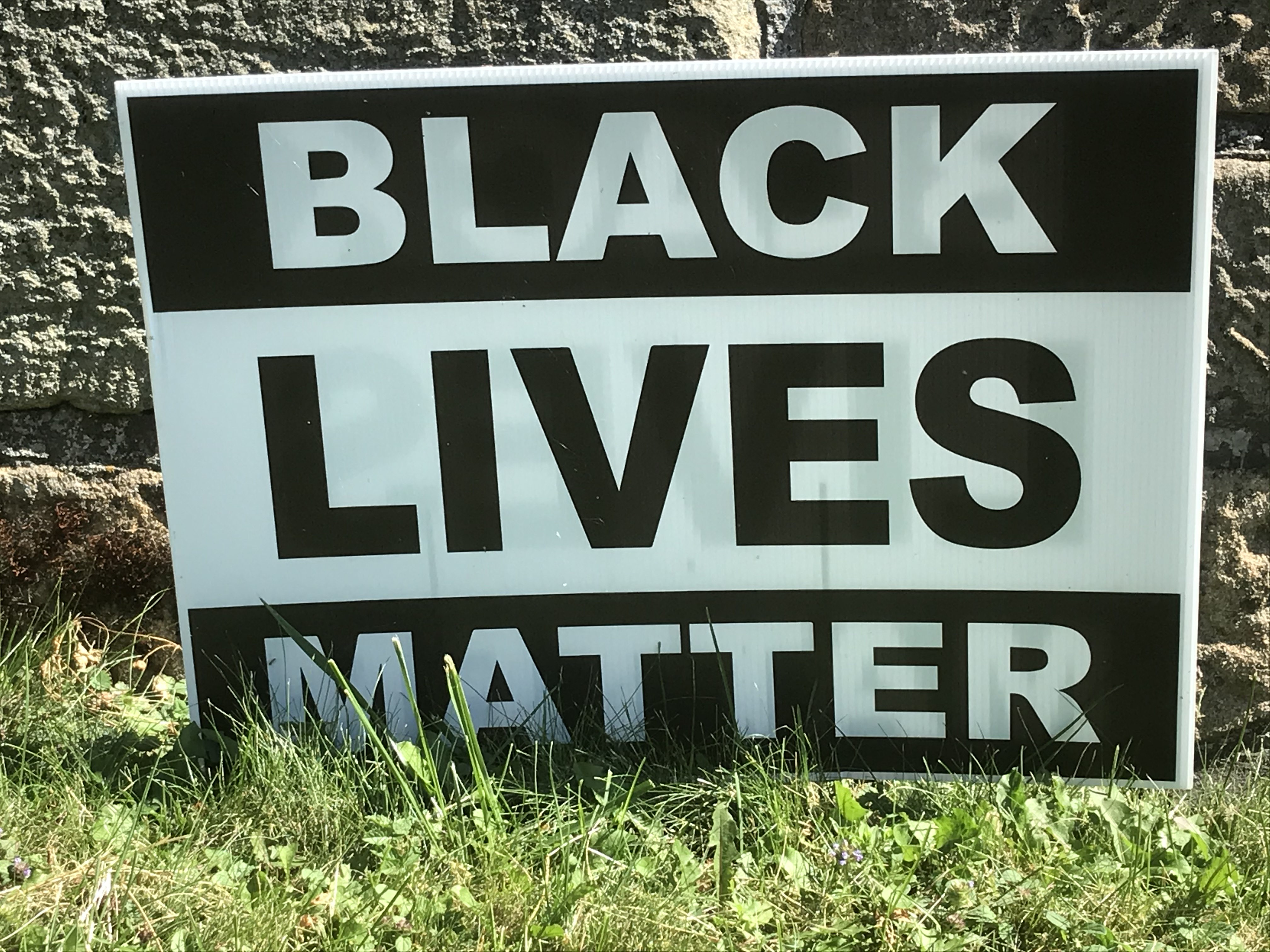 Free Overnight Shipping Sign Black Lives Matter BLM Fist Yard Signs 10 Pack with Stakes