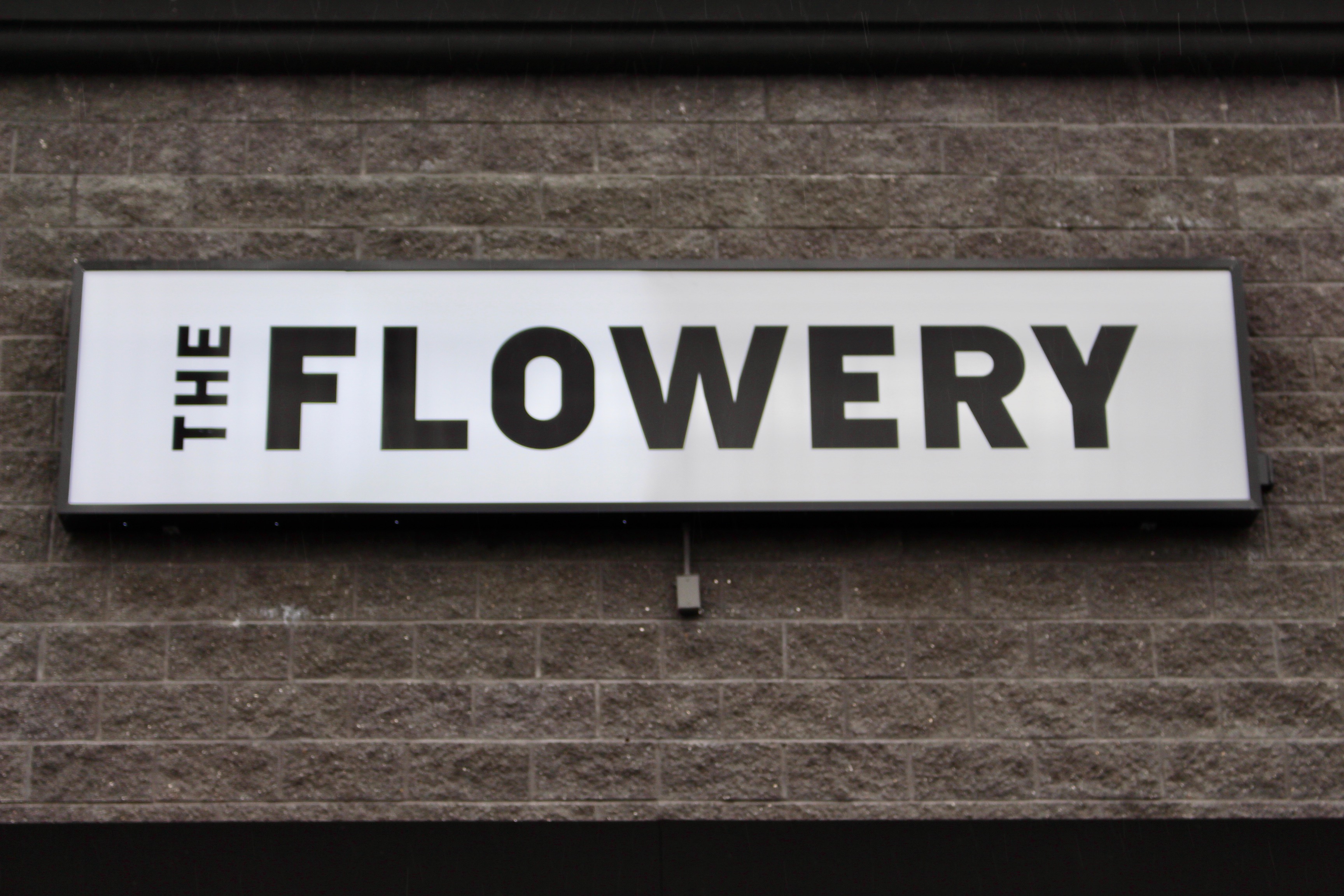 Sneak peek of Staten Island's first adultuse marijuana dispensary