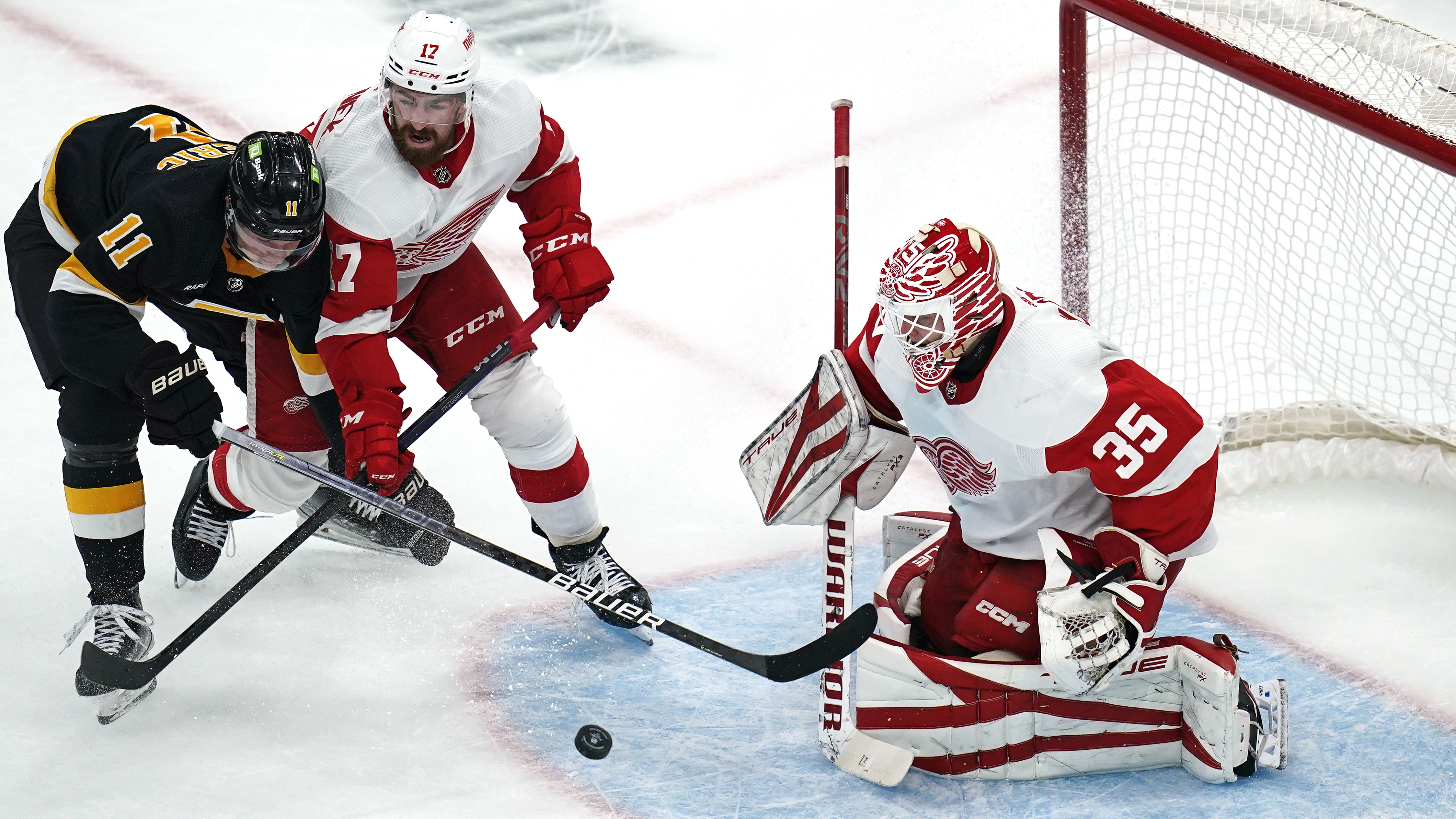 Detroit Red Wings Tickets - StubHub