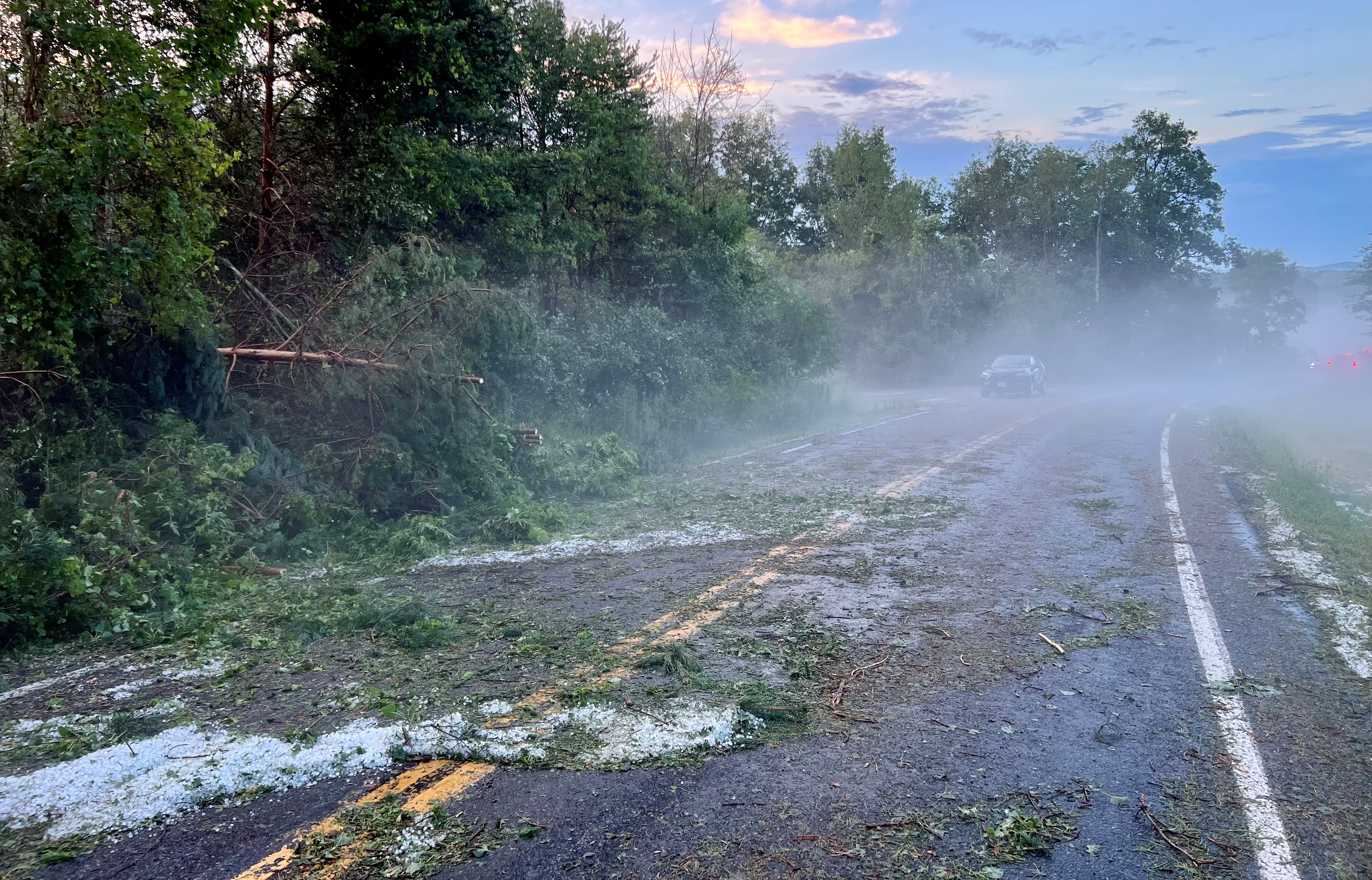 A rainy summer in Syracuse exposed a growing problem: Black mold 