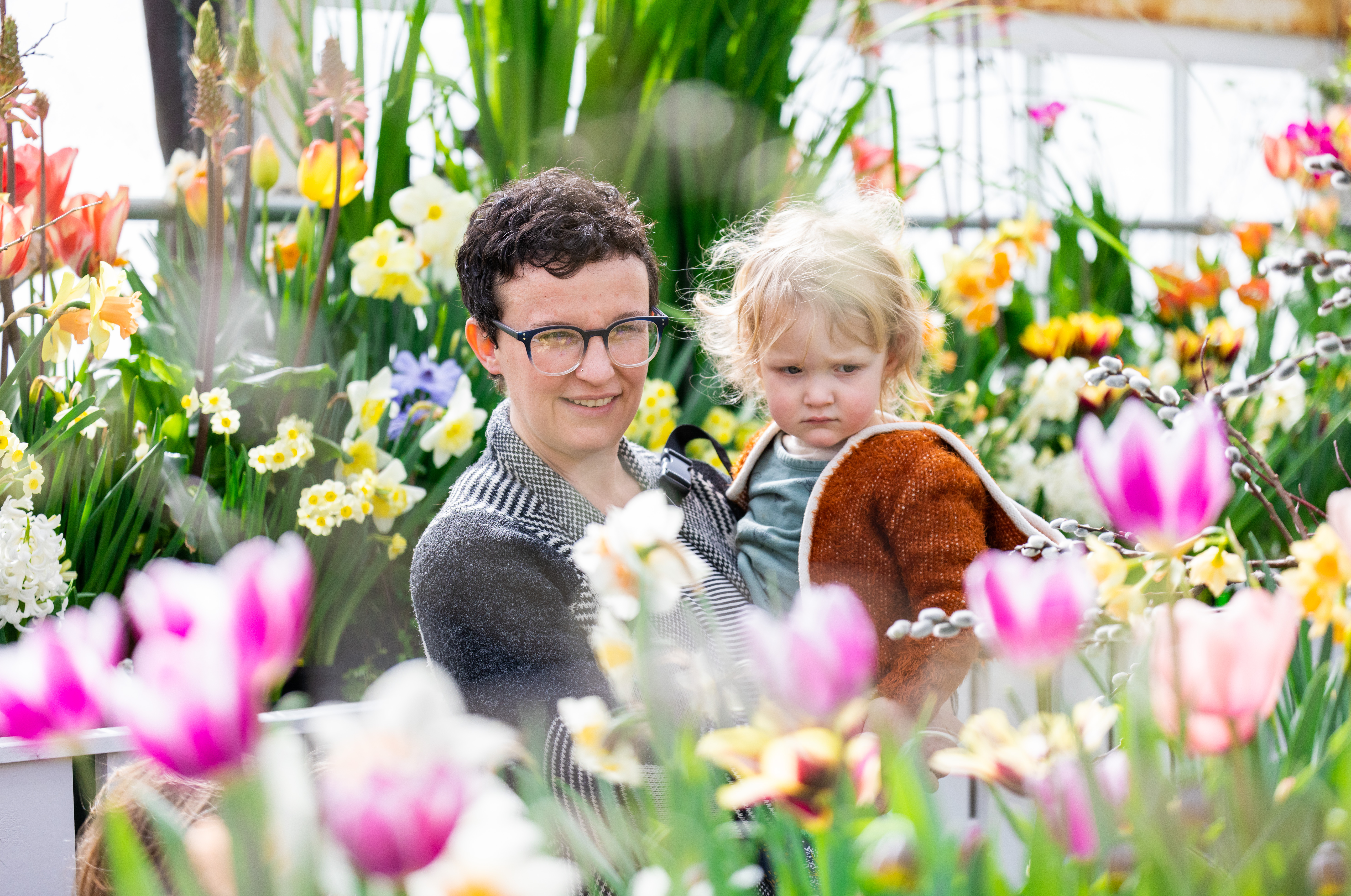 Spring Bulb Show at Smith College's Lyman Plant House & Conservatory -  masslive.com
