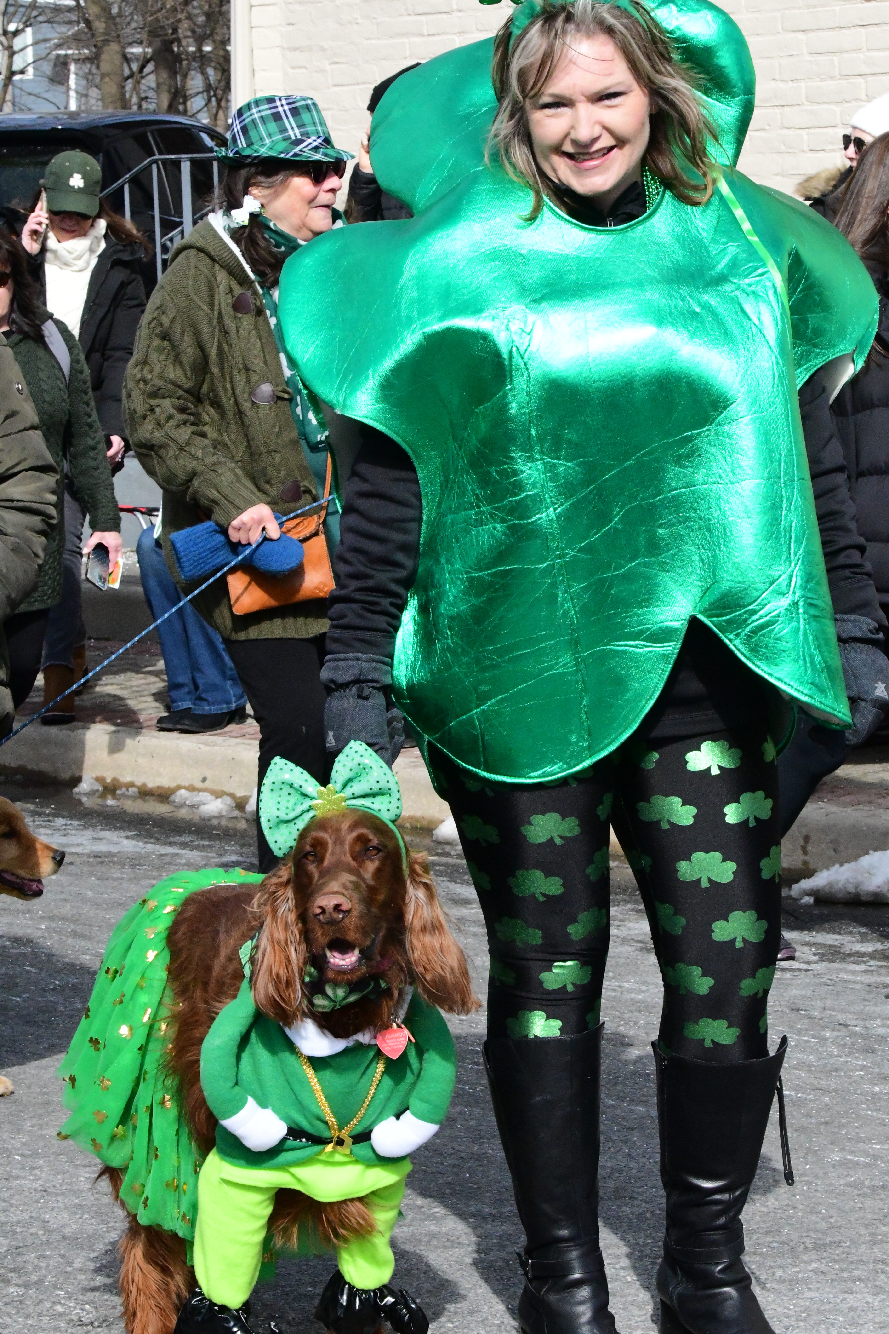 The 2022 St Patrick's Day Parade hosted by the Friendly Sons of St Patrick Hunterdon County took place in Clinton on March 13 , 2022

Adopt a Setter/Irish Setter Rescue