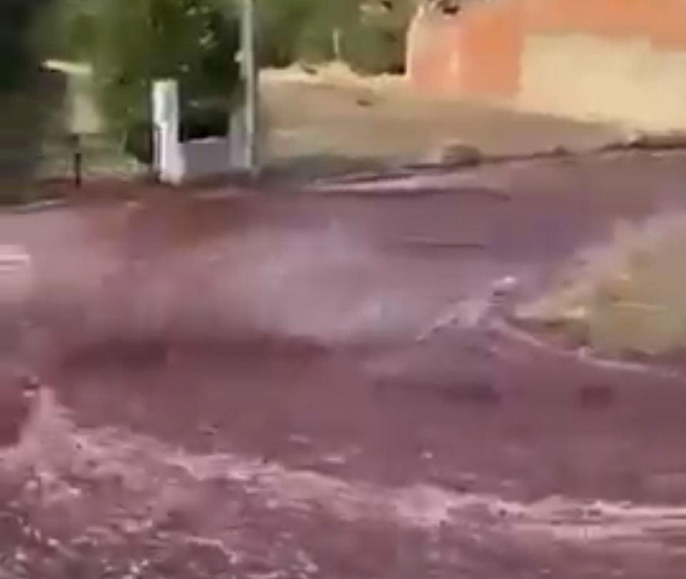 Um rio de vinho tinto inunda uma pequena cidade em Portugal depois que dois tanques estouraram em uma destilaria local