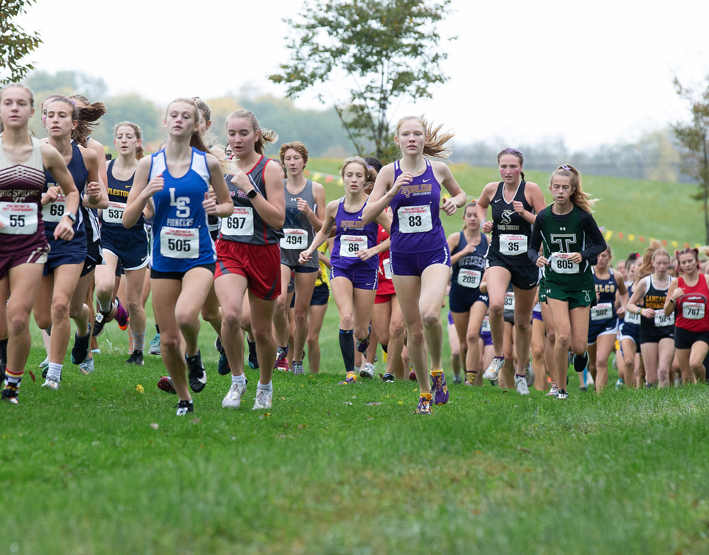 2021 PIAA District 3 girls cross country championships