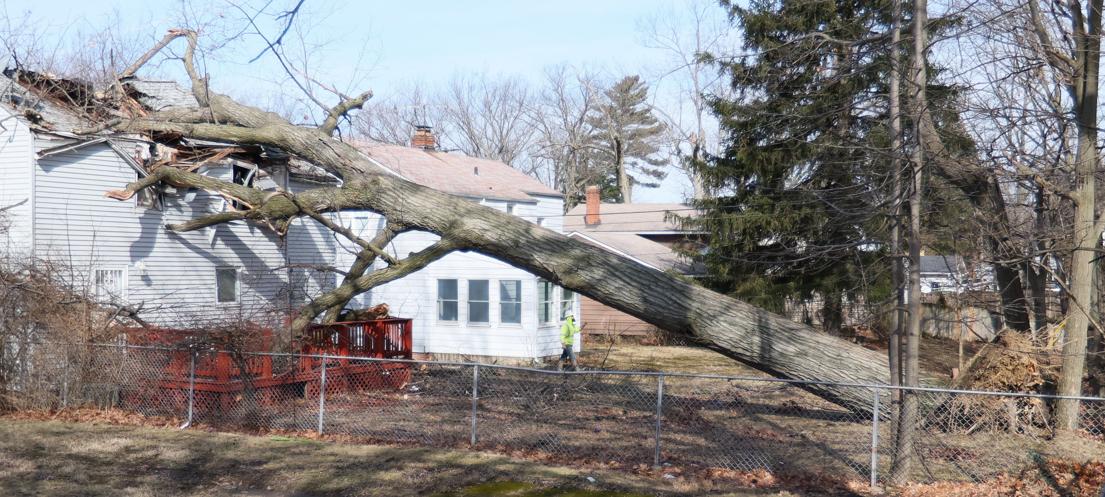 South Euclid home’s upper floor destroyed by fallen tree, February 28 ...