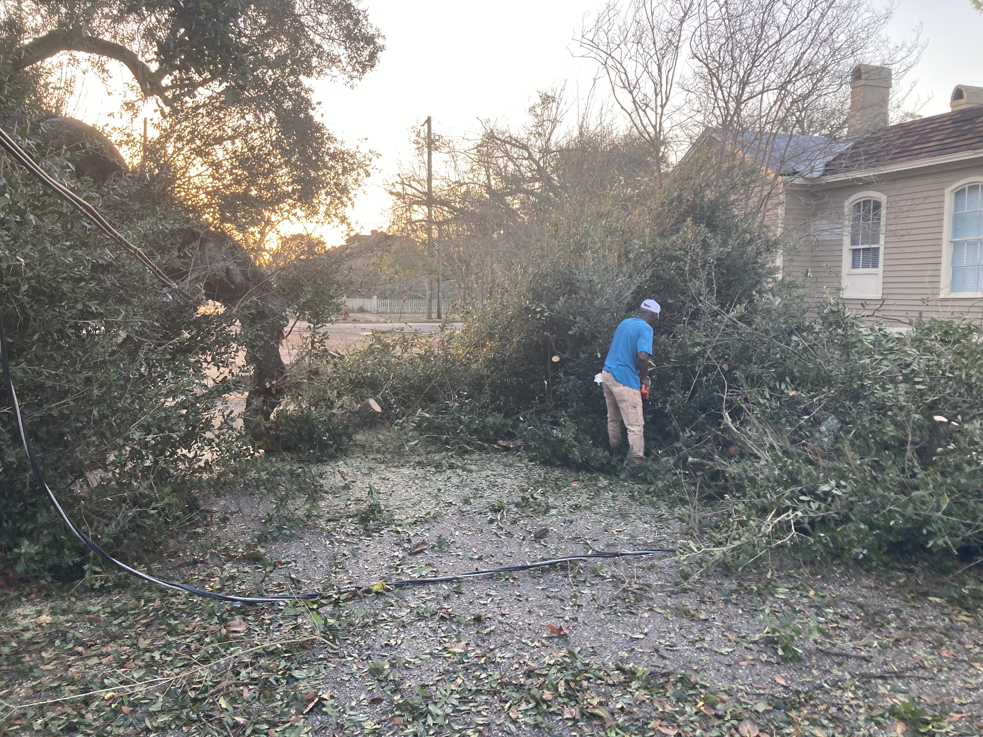 Women Get Stuck In Hedge At Auburn Alabama Football Game