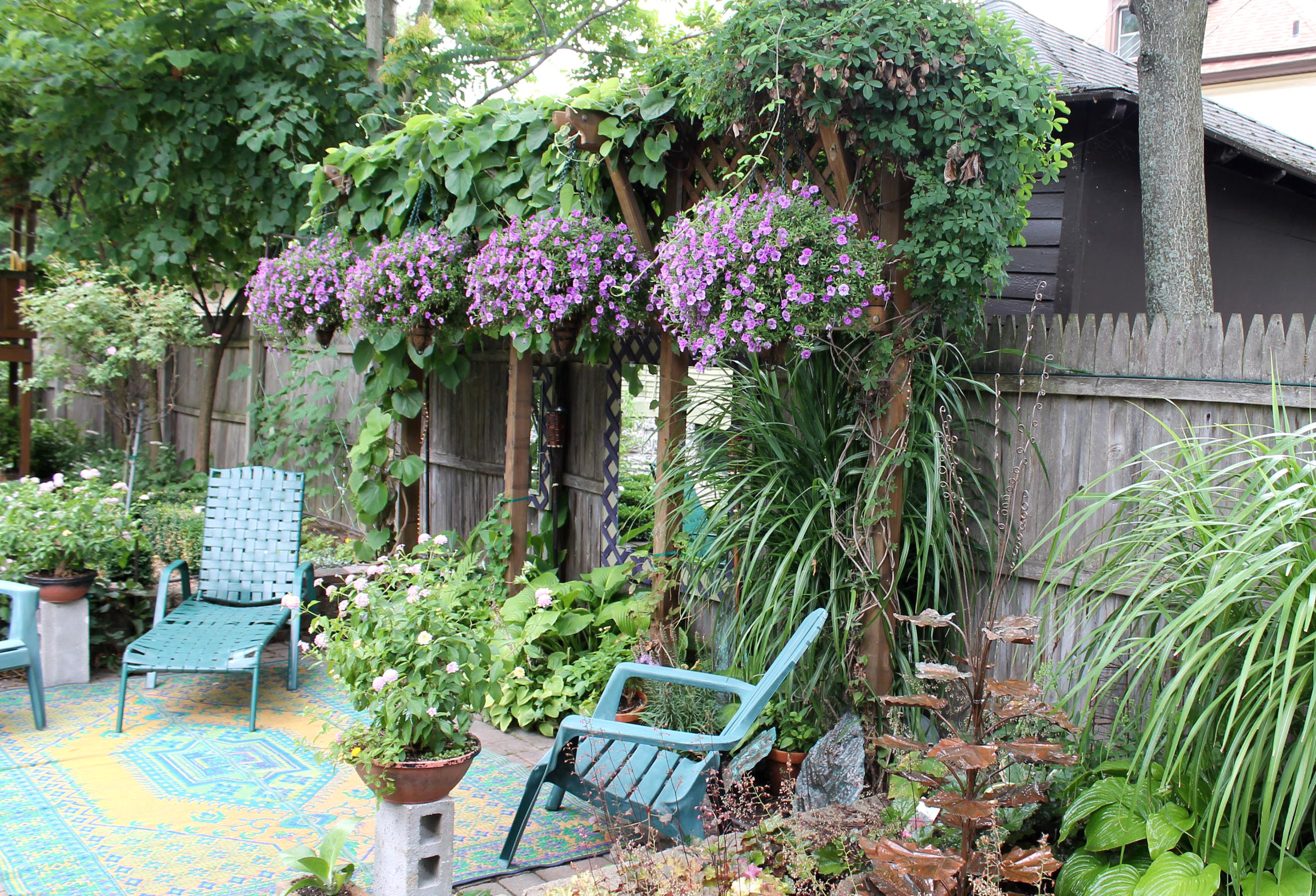 Best Spiller Plants For The Summer 12 Best Plants For Fall Planters