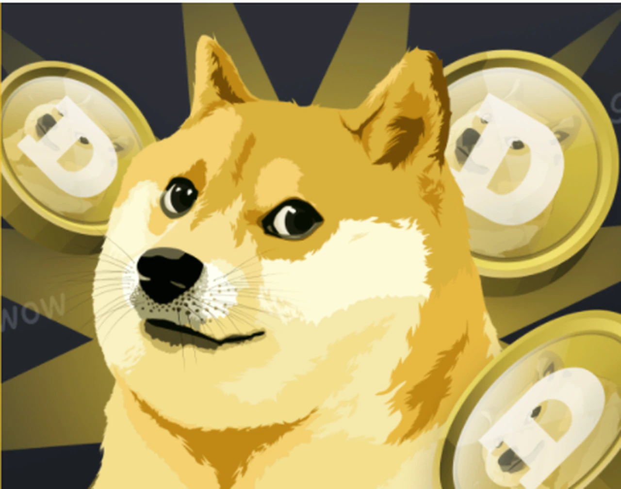 what time does shiba go live on kraken , how to buy son of shiba coin