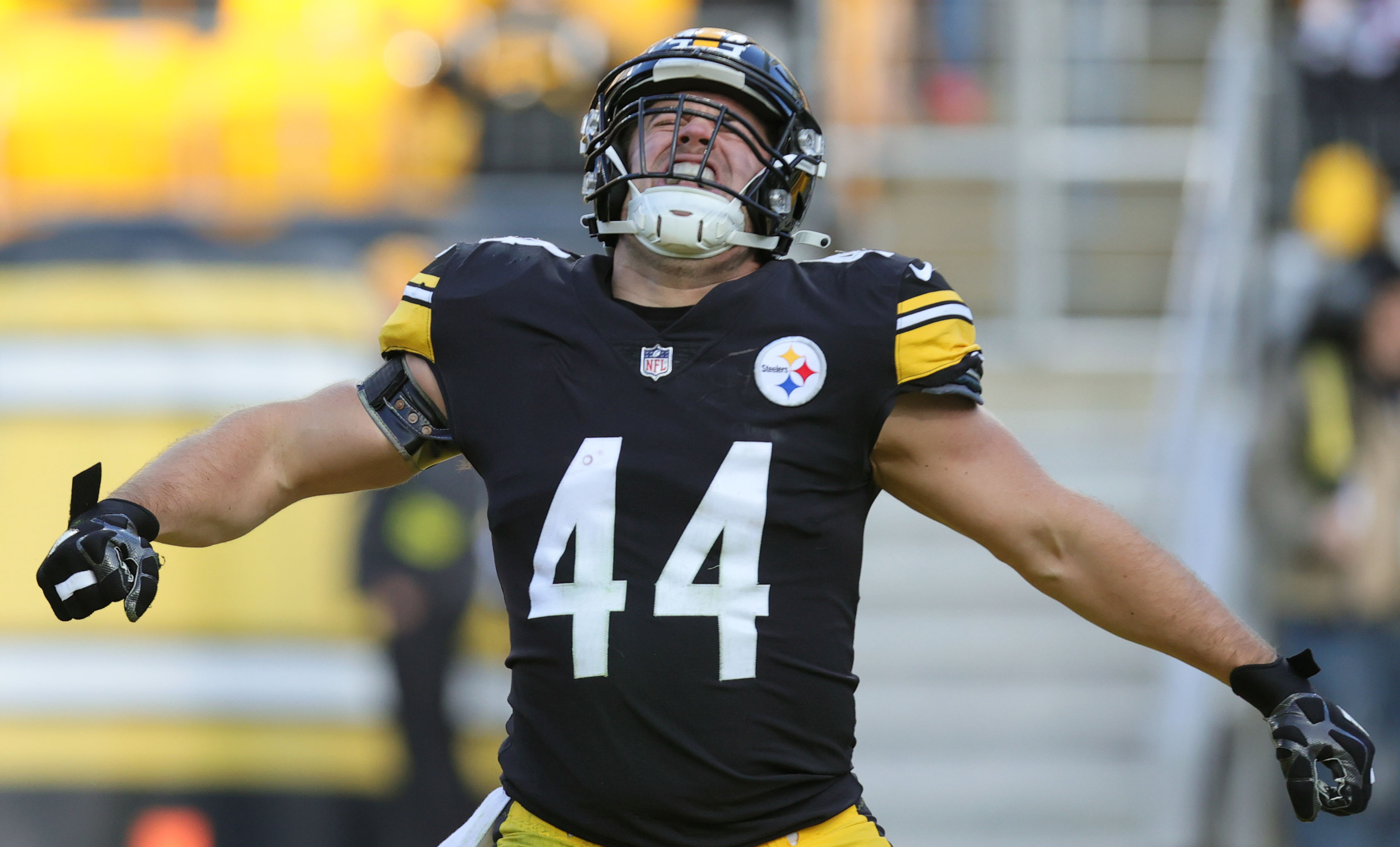 Pittsburgh Steelers fullback Derek Watt (44) celebrates his one