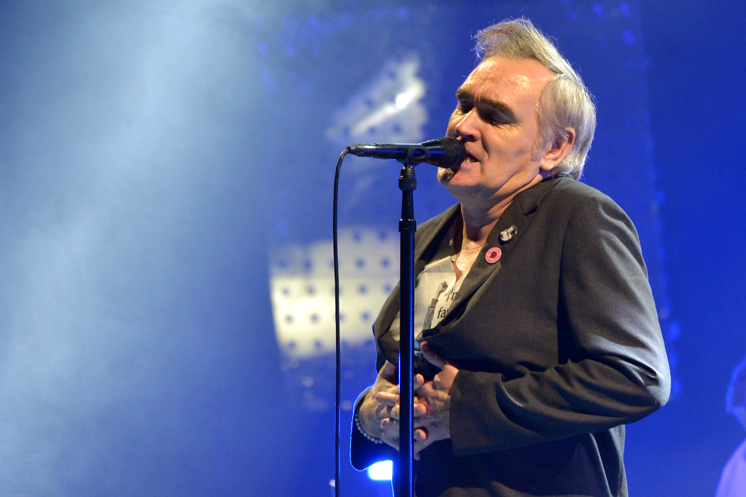 Morrissey to play Upstate NY concert: 'An infectious excitement