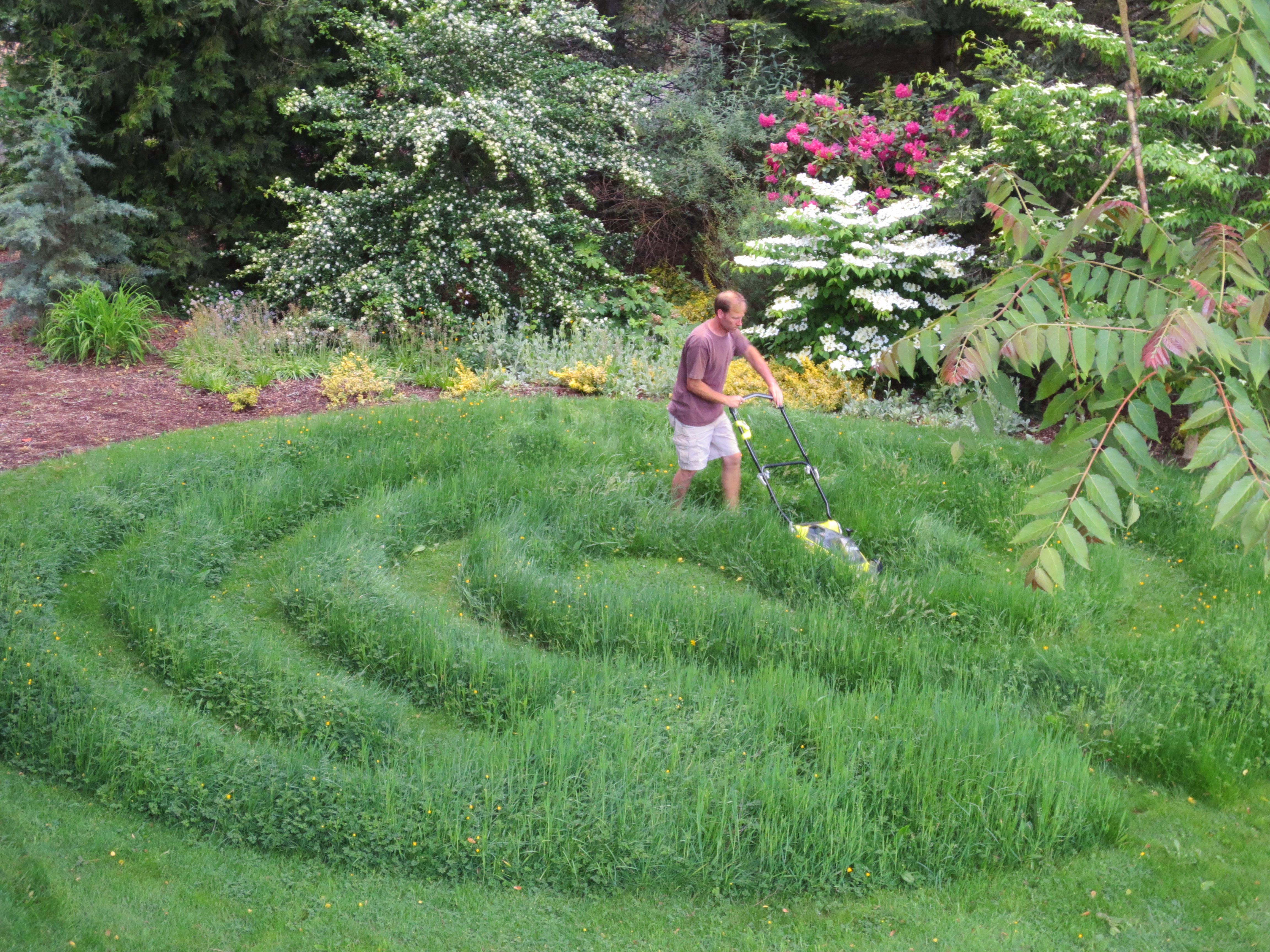 Grass Maze World, DREAM WORLD Wiki