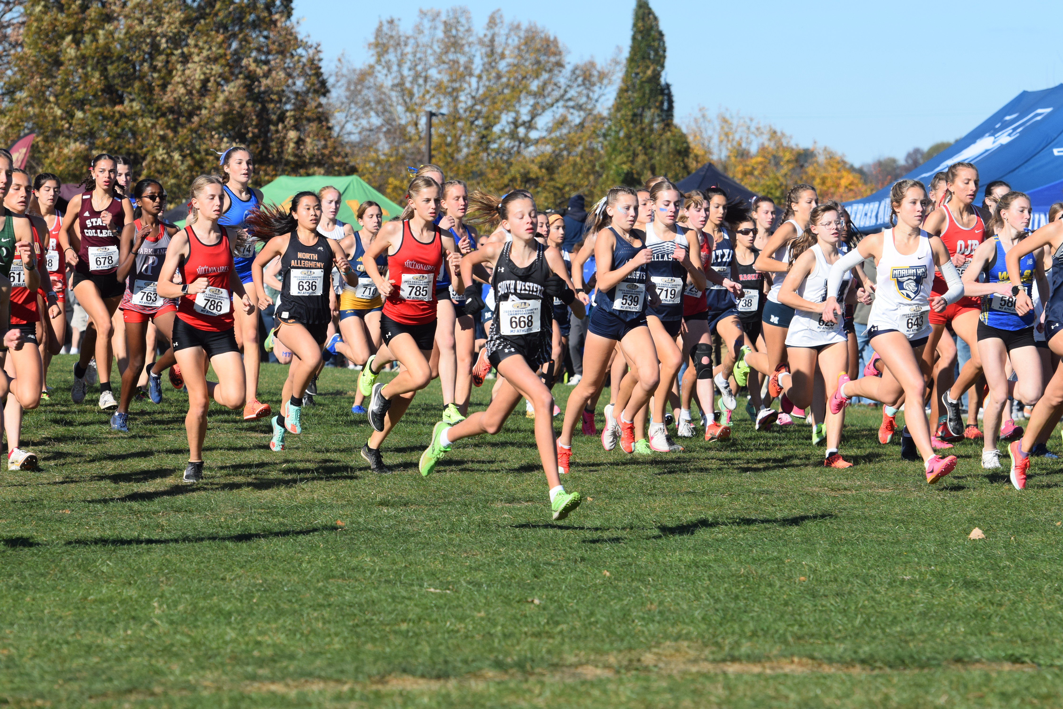 PIAA Cross Country Championships Nov. 2 2024 - pennlive.com