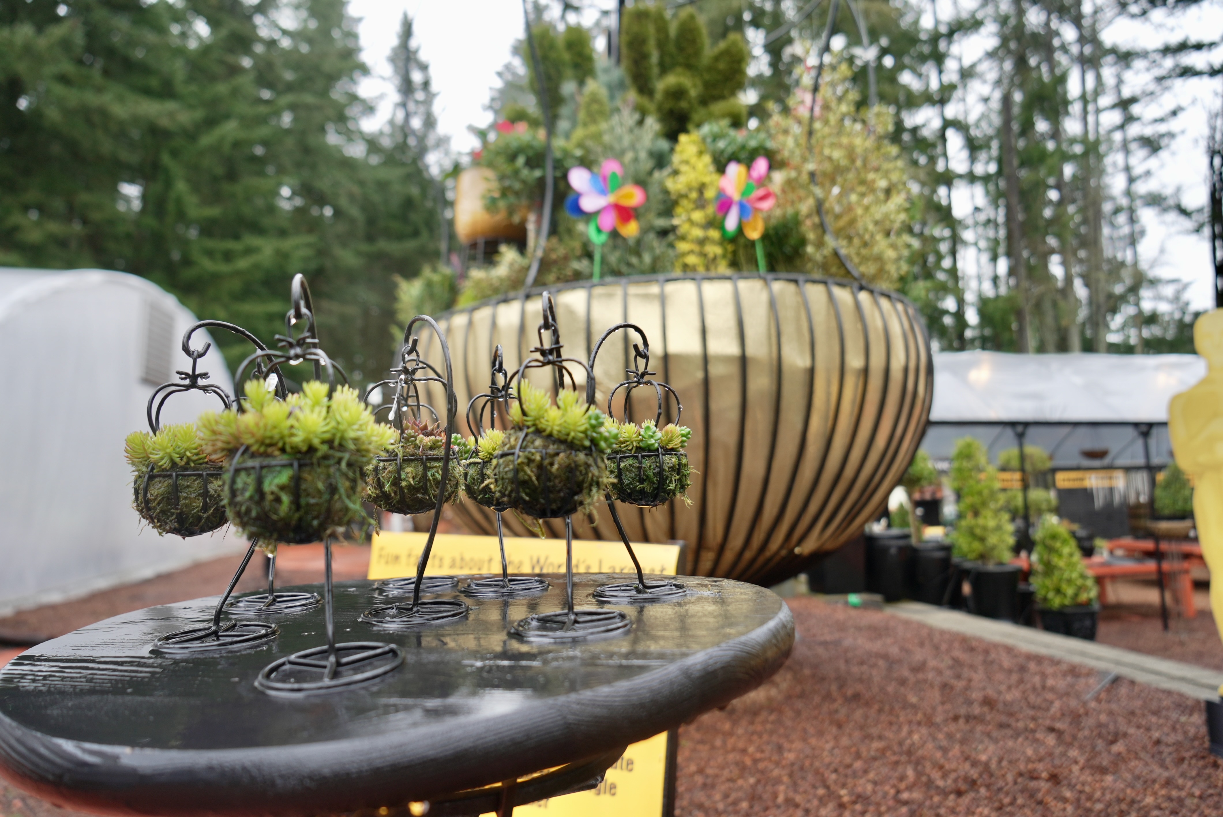 Largest Hanging Basket - oregonlive.com