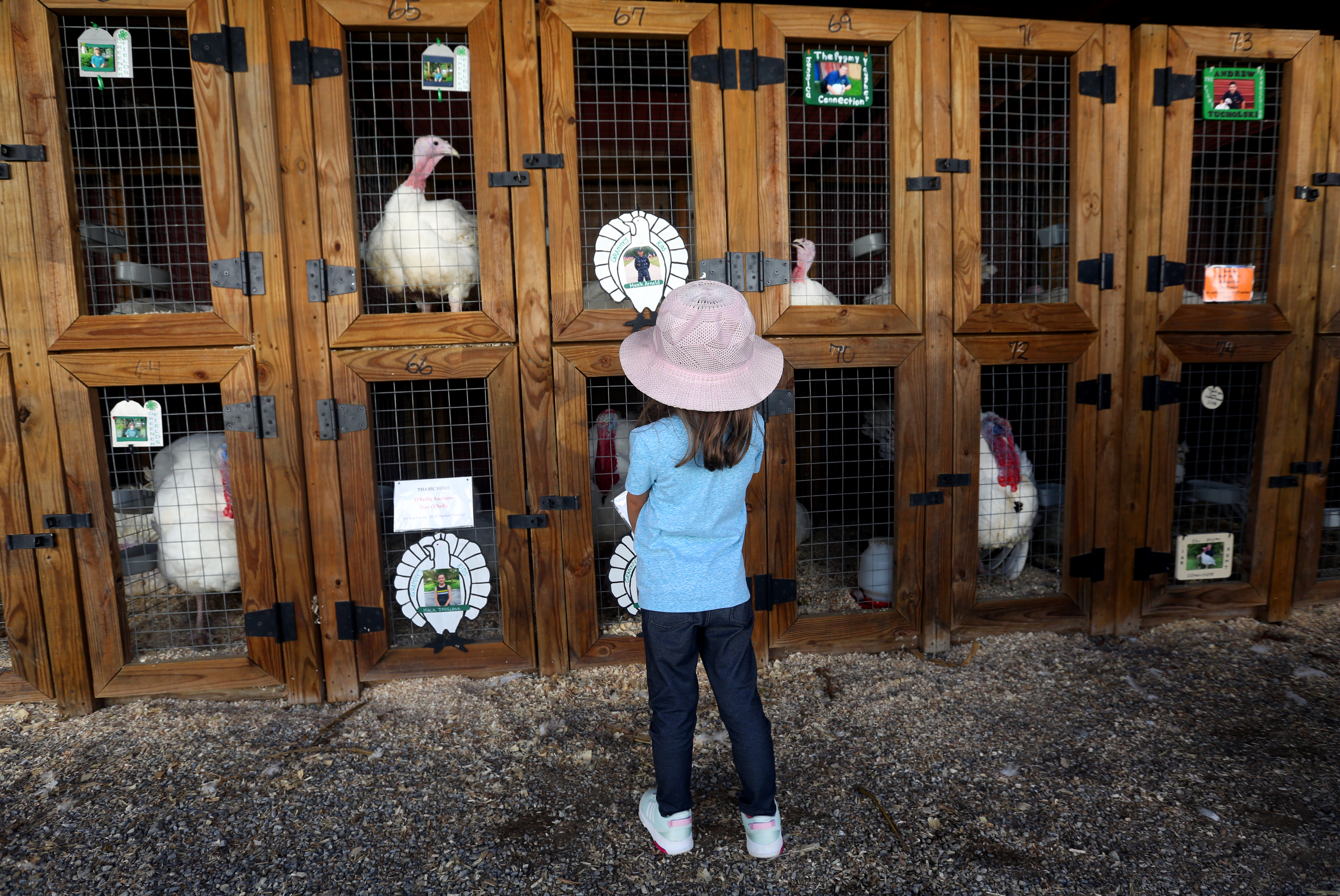 Ohio Fair Schedule 2022 Ohio Department Of Agriculture Releases Schedule Of County Fairs For 2022 -  Cleveland.com