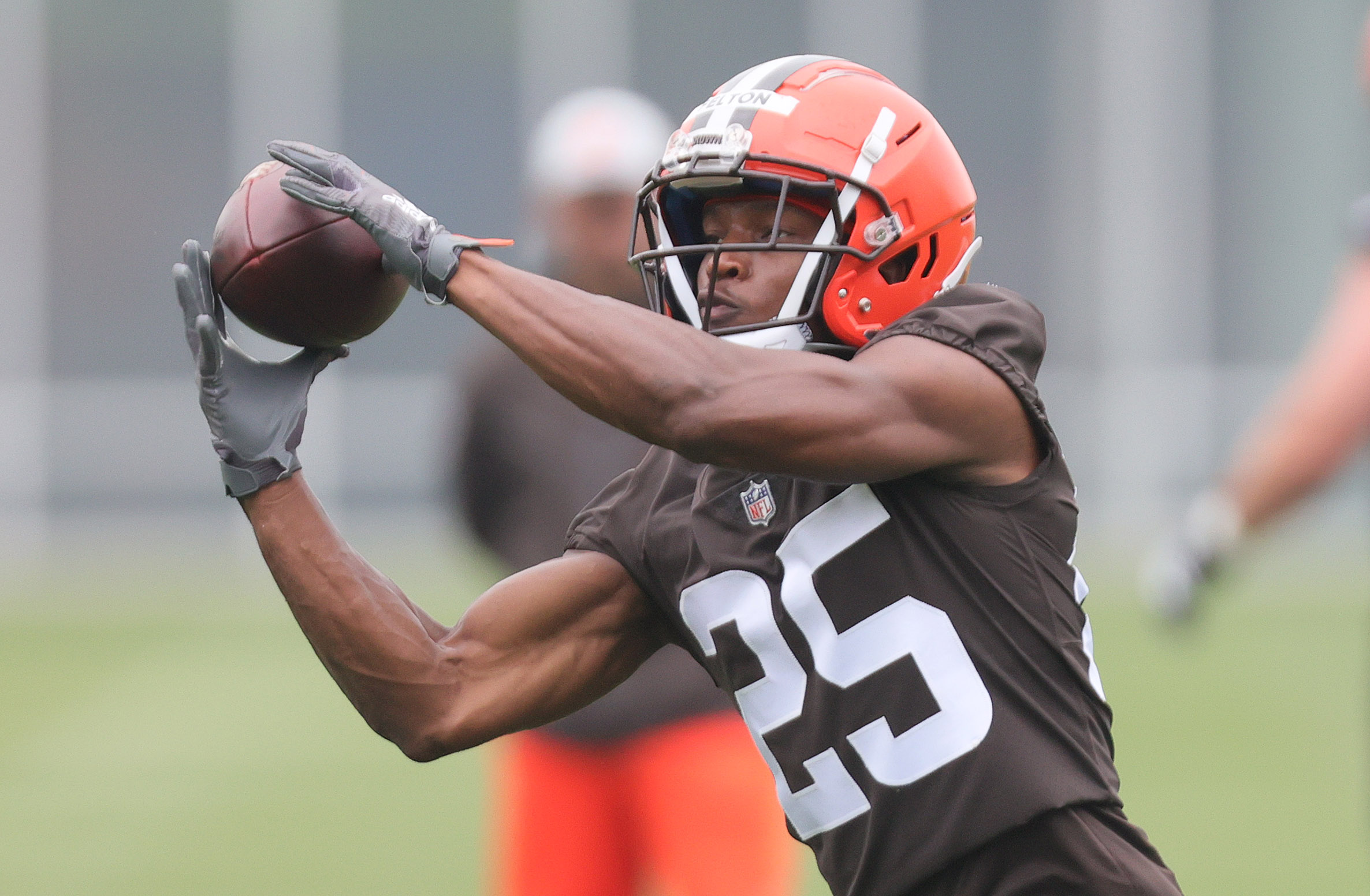 Cleveland Browns: Duke Johnson talks up Ward and Chubb