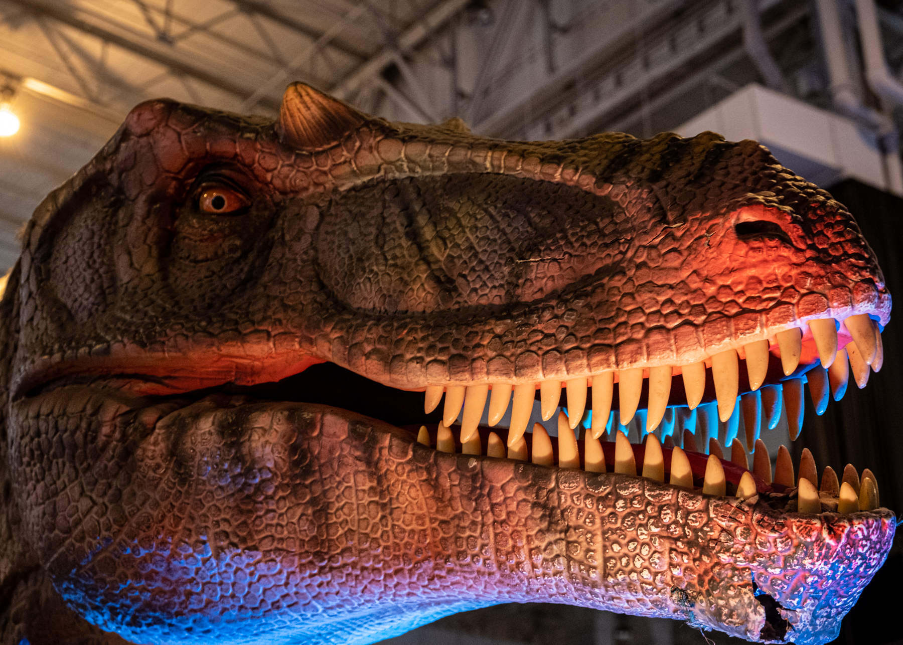 Jurassic Quest - cleveland.com