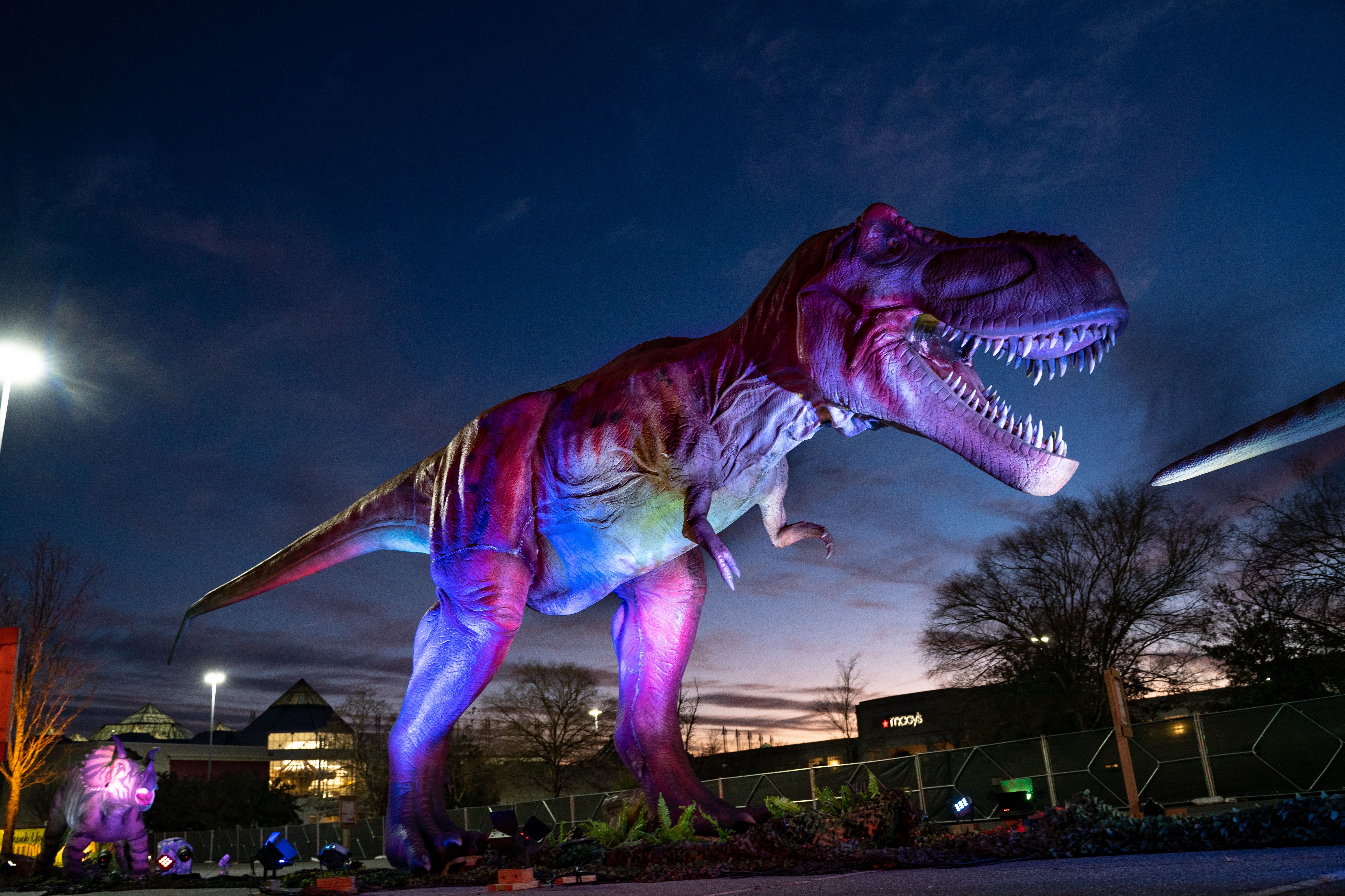Dino Safari Invades The Shoppes At Parma With Drive Thru Event During The Month Of June Cleveland Com