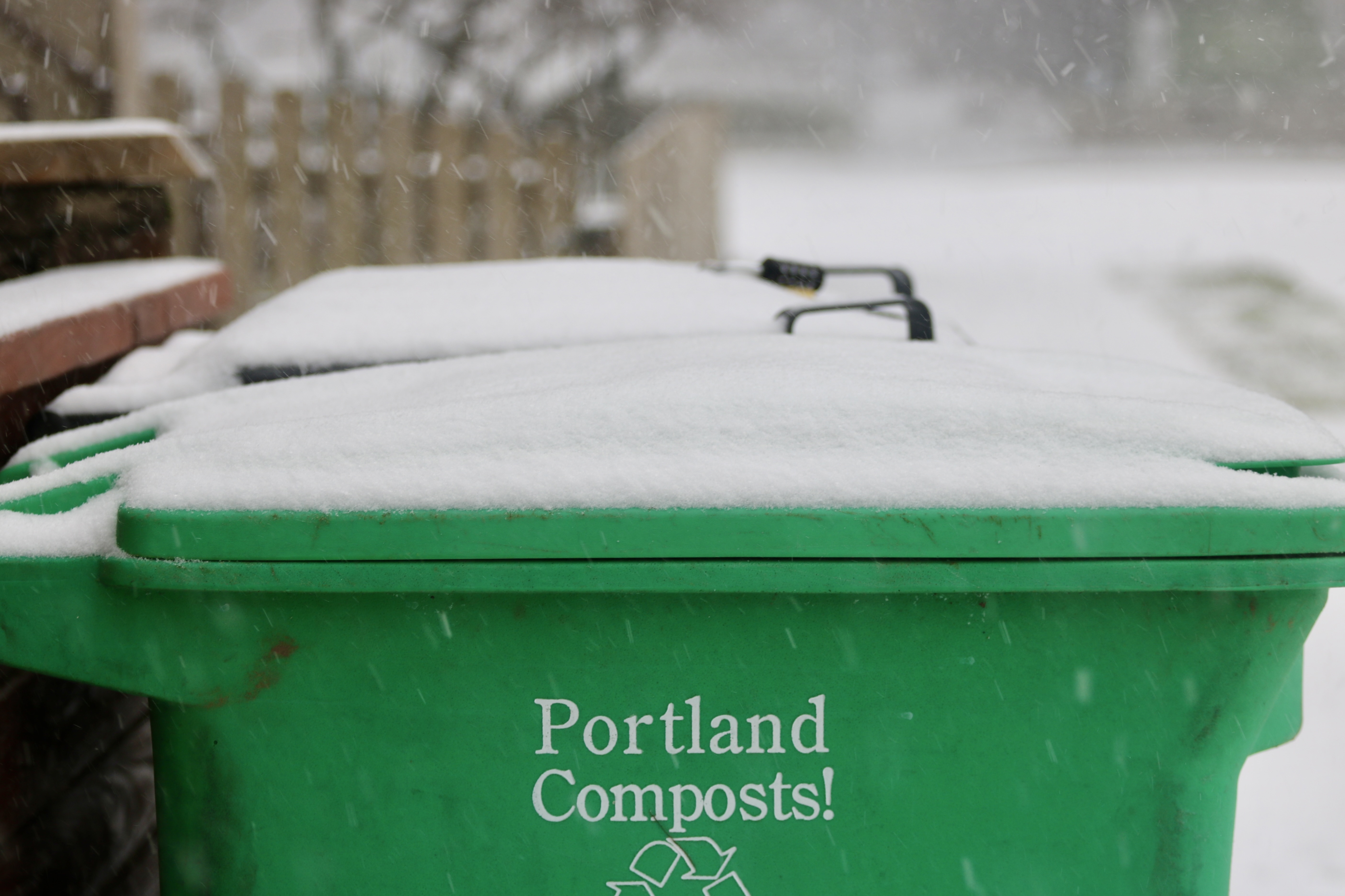 February snow blankets the Portland area - oregonlive.com