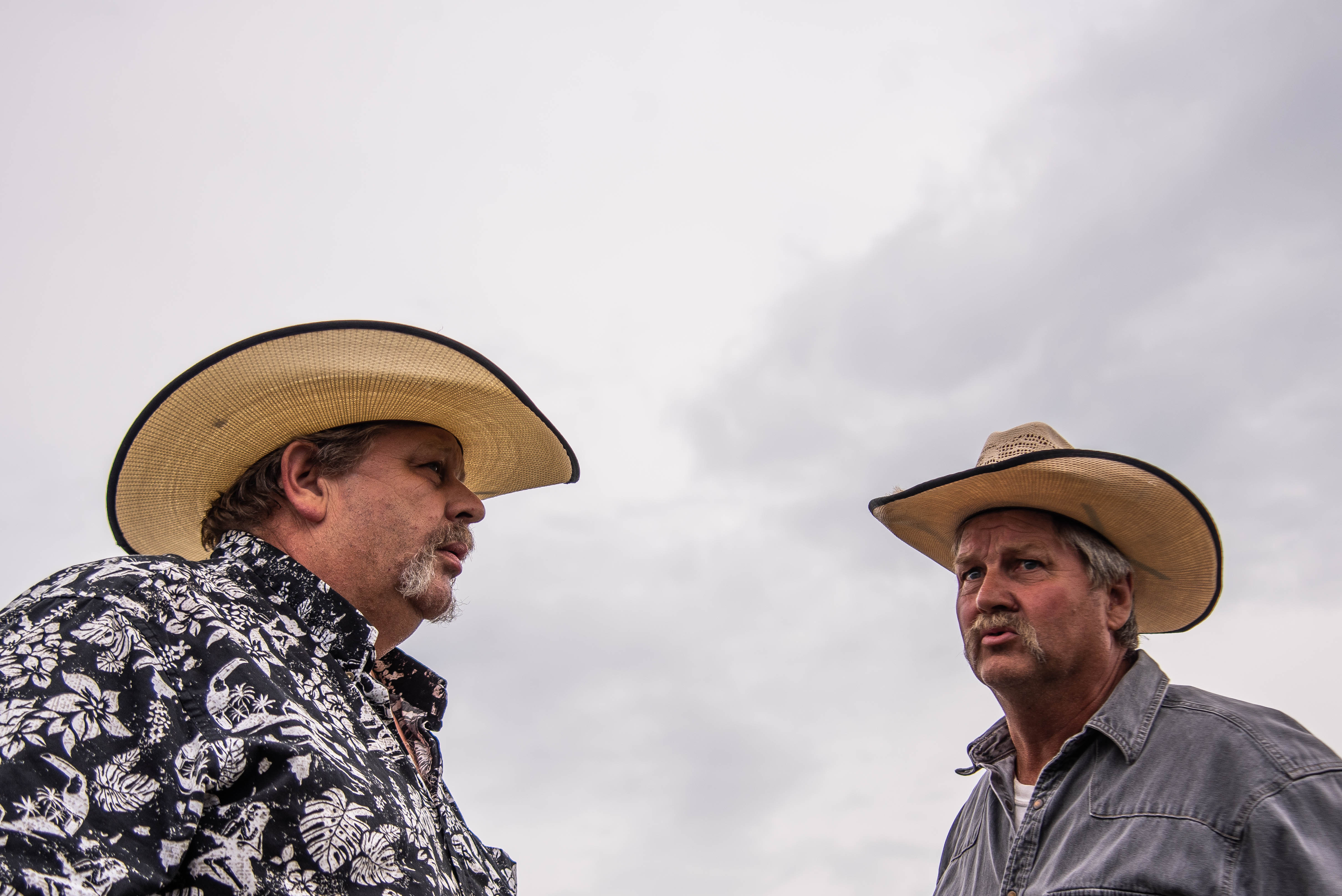 Rodeo returns to Gaines Township