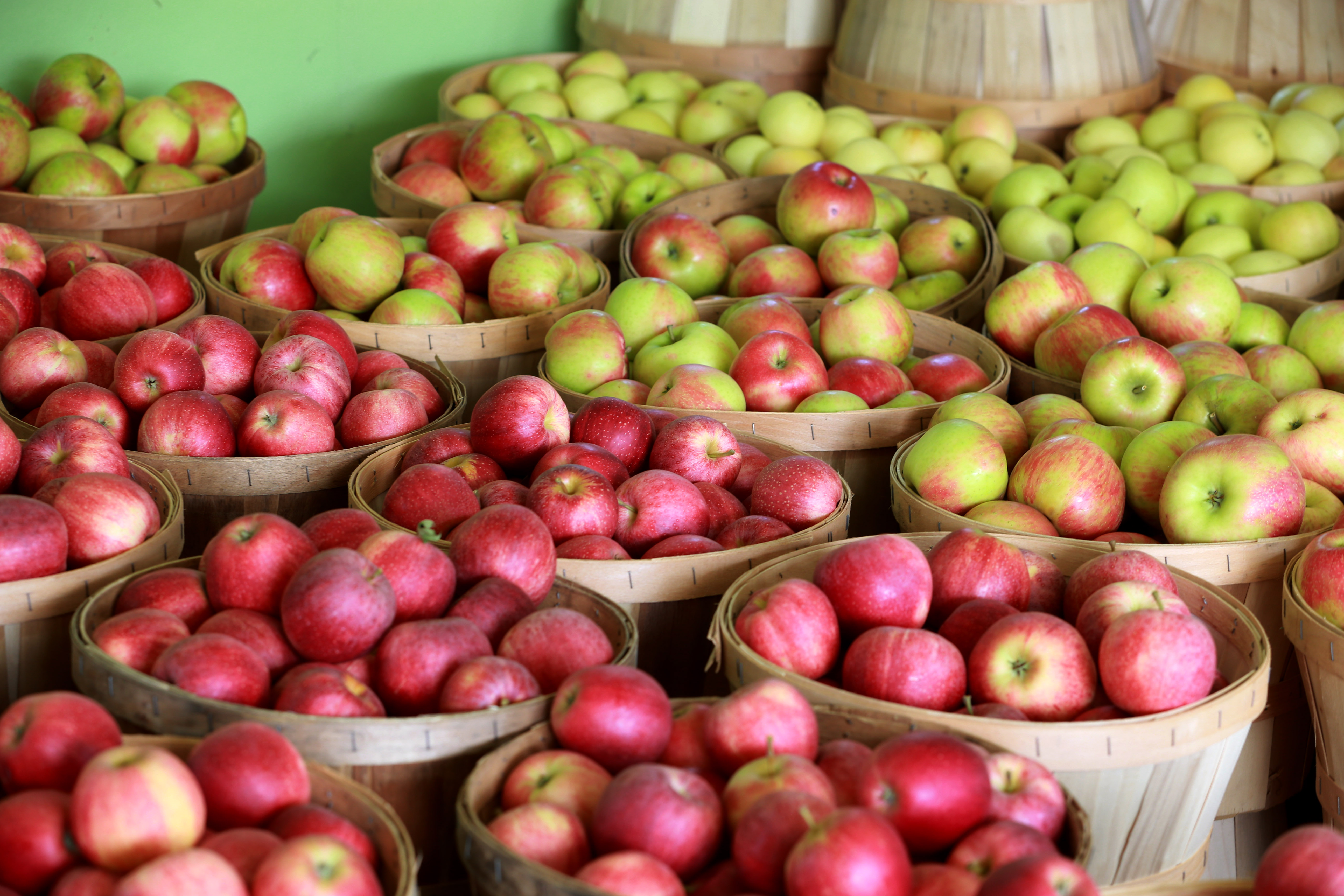 11 reasons why apple picking is the worst fall activity ever invented