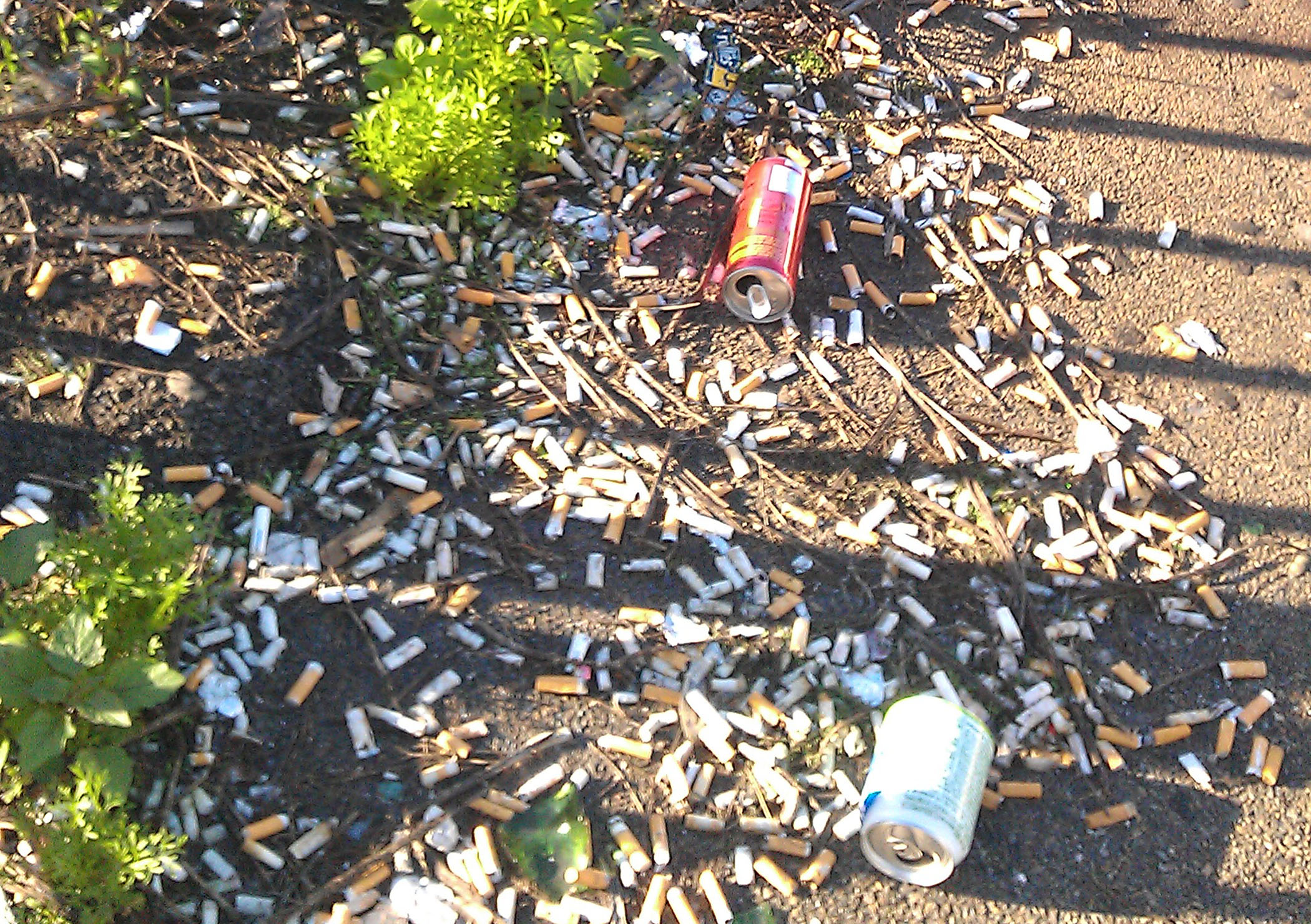 cigarette butt litter 96 million-plus cigarette butts along Pennsylvania roadways