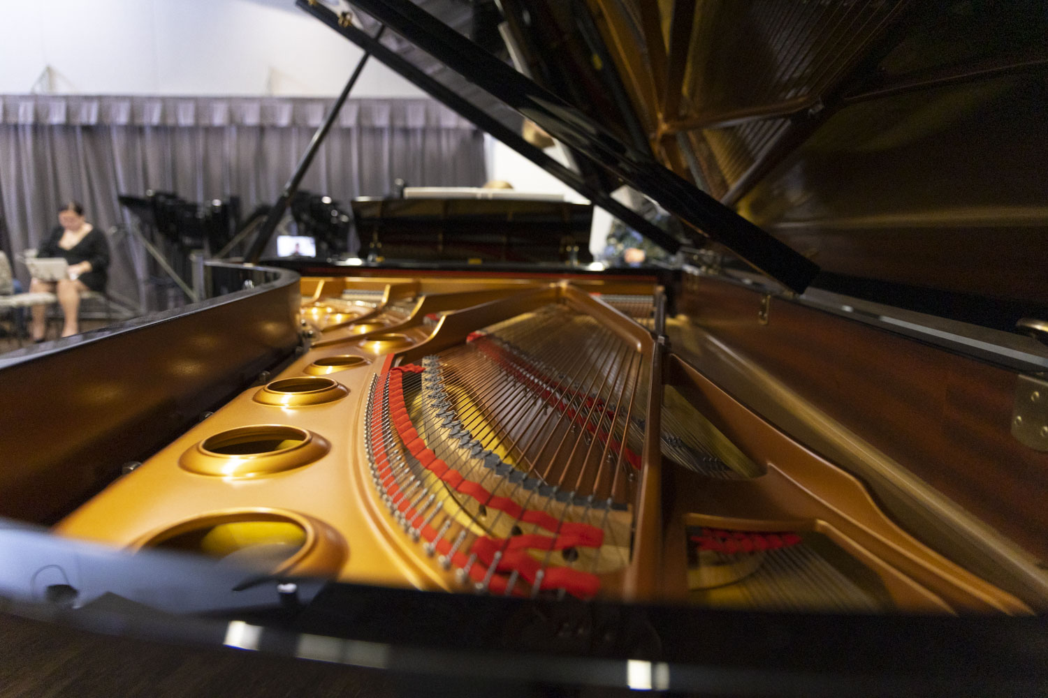 Yamaha Artist Angie Zhang opens new doors for her students at Concordia  University - mlive.com, image size:1500x1000