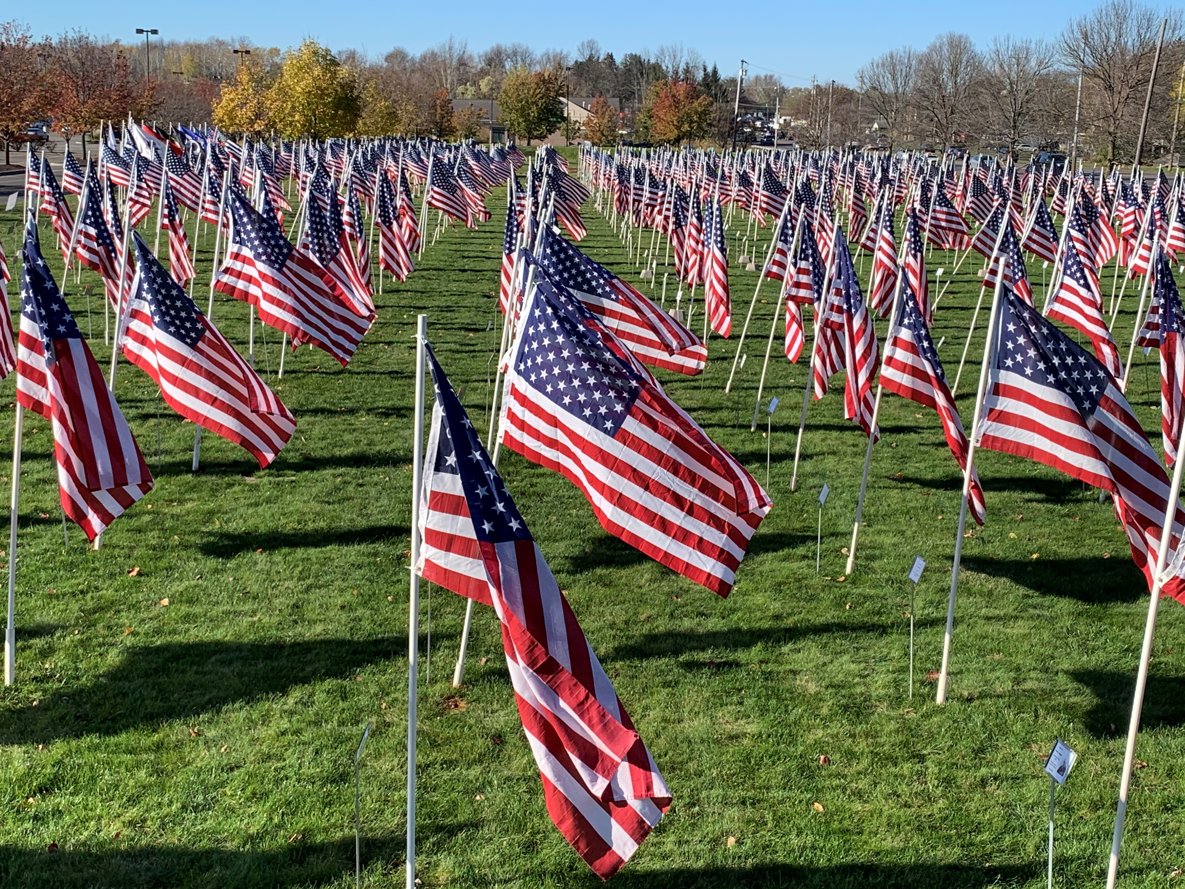 Flags of Honor and Gratitude' on Veterans Day in Liverpool