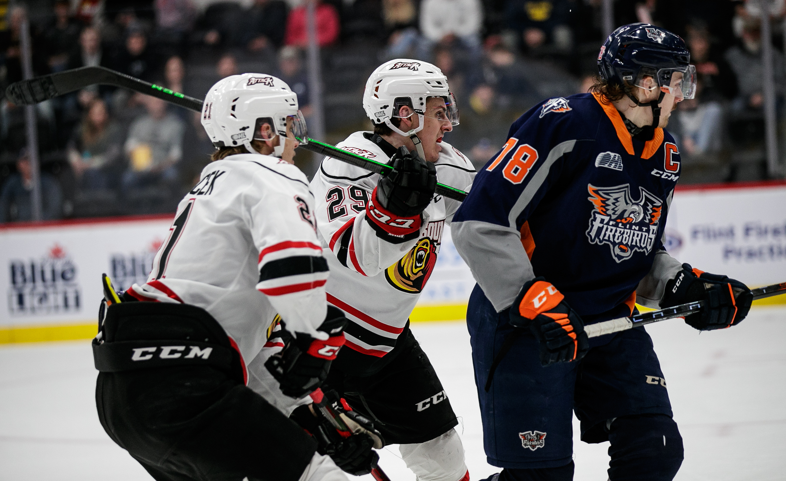 Flint Firebirds set two club records with 11th straight victory, 33rd of  the season 