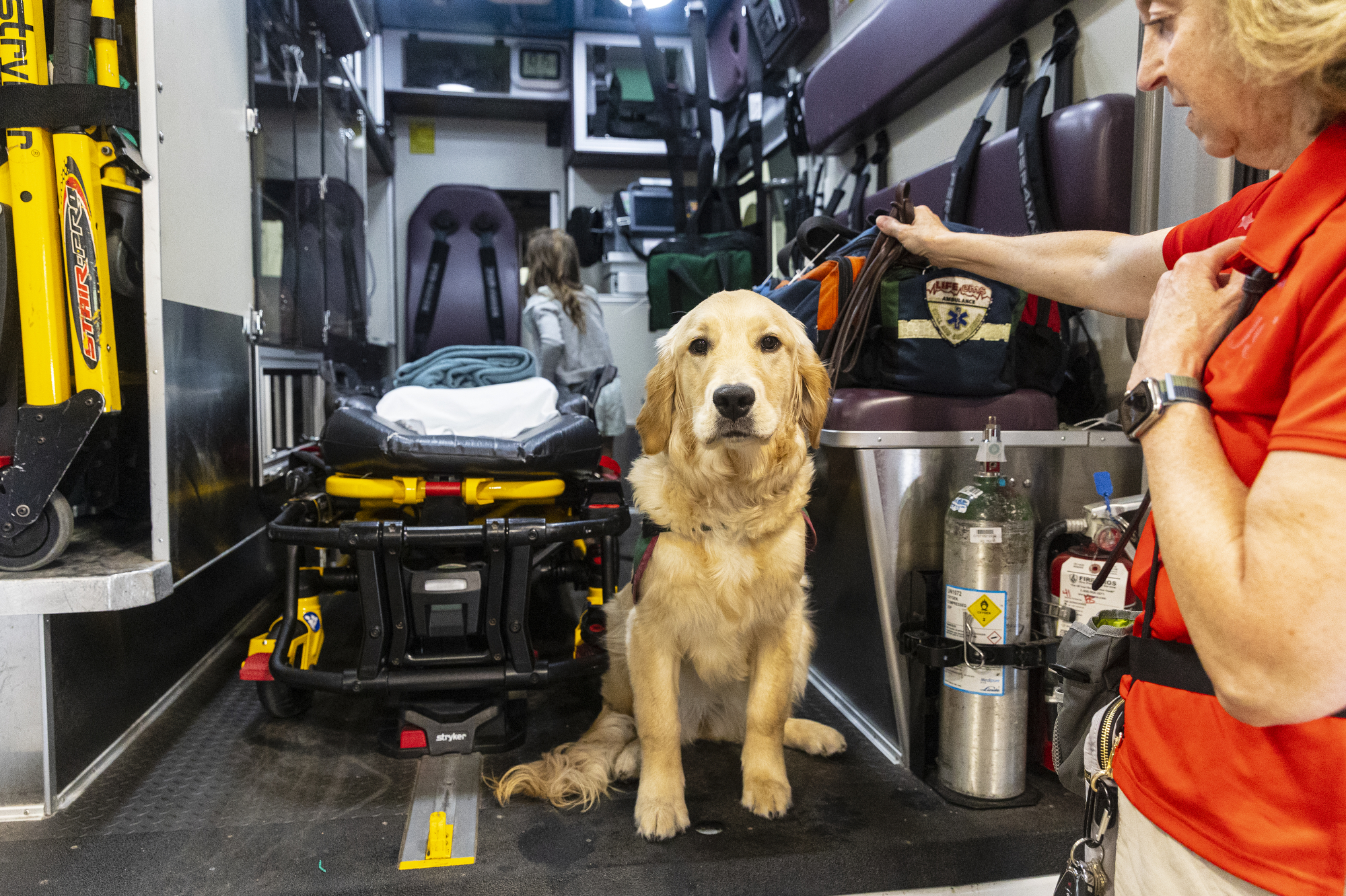 PAWS puppies get acclimated with ambulances - mlive.com