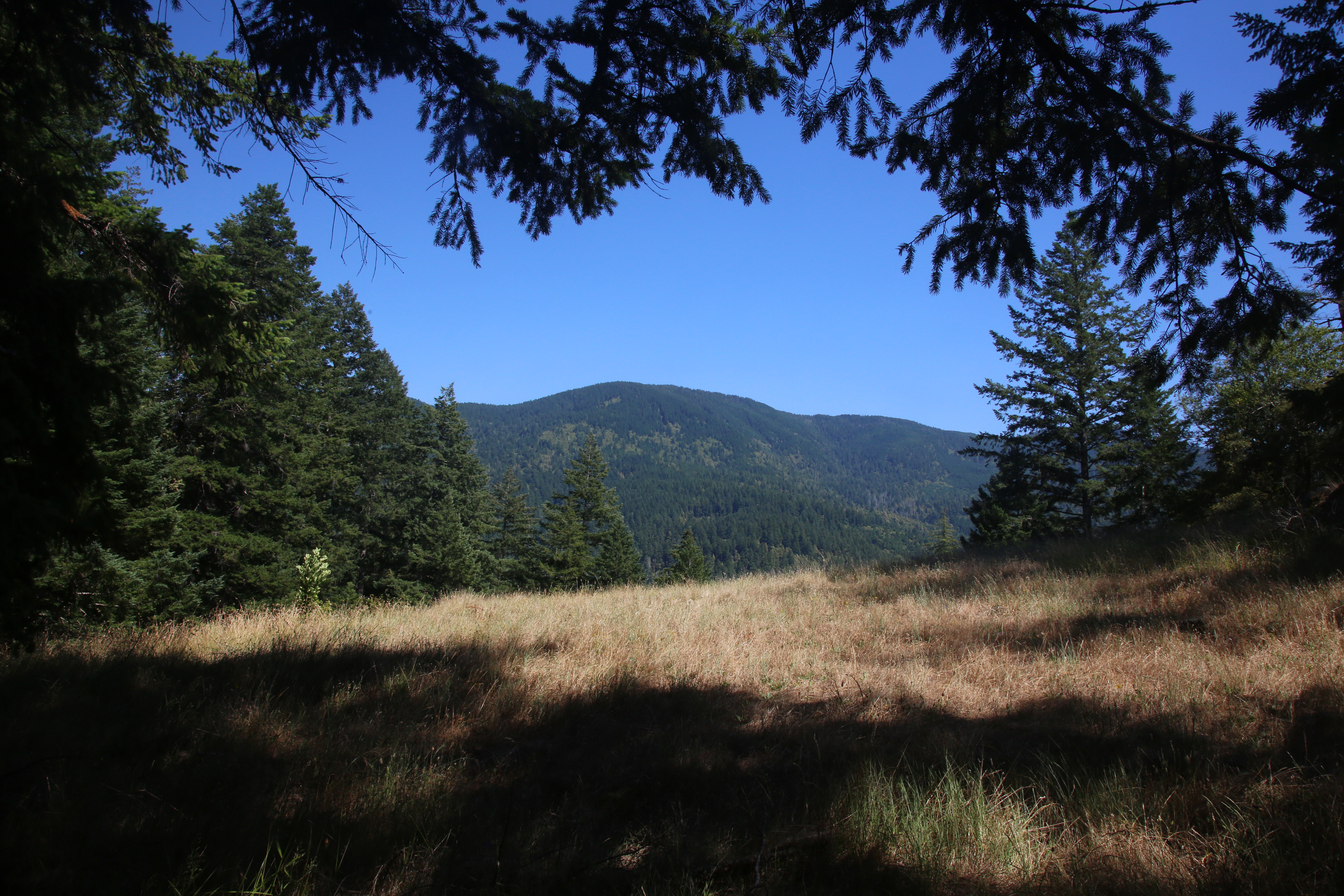 How to hike, paddle and bike the lower Rogue River, a scenic gem in  southwest Oregon 