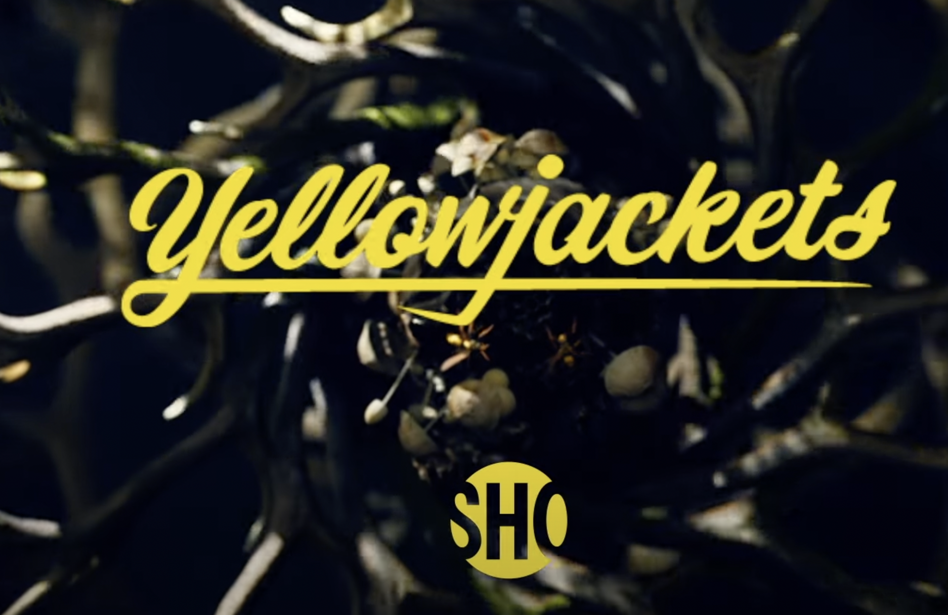 SHOWTIME Freeview: Watch 'Yellowjackets' and More