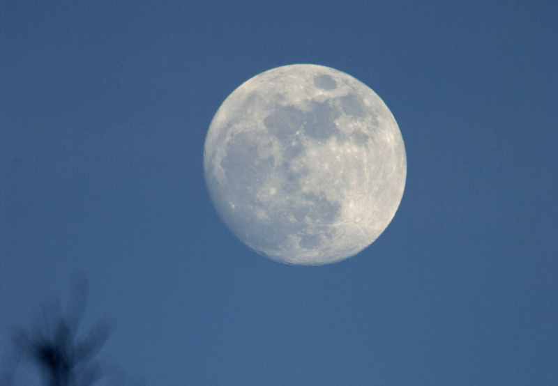 Full Flower Moon to bloom in night sky during 1st weekend of May