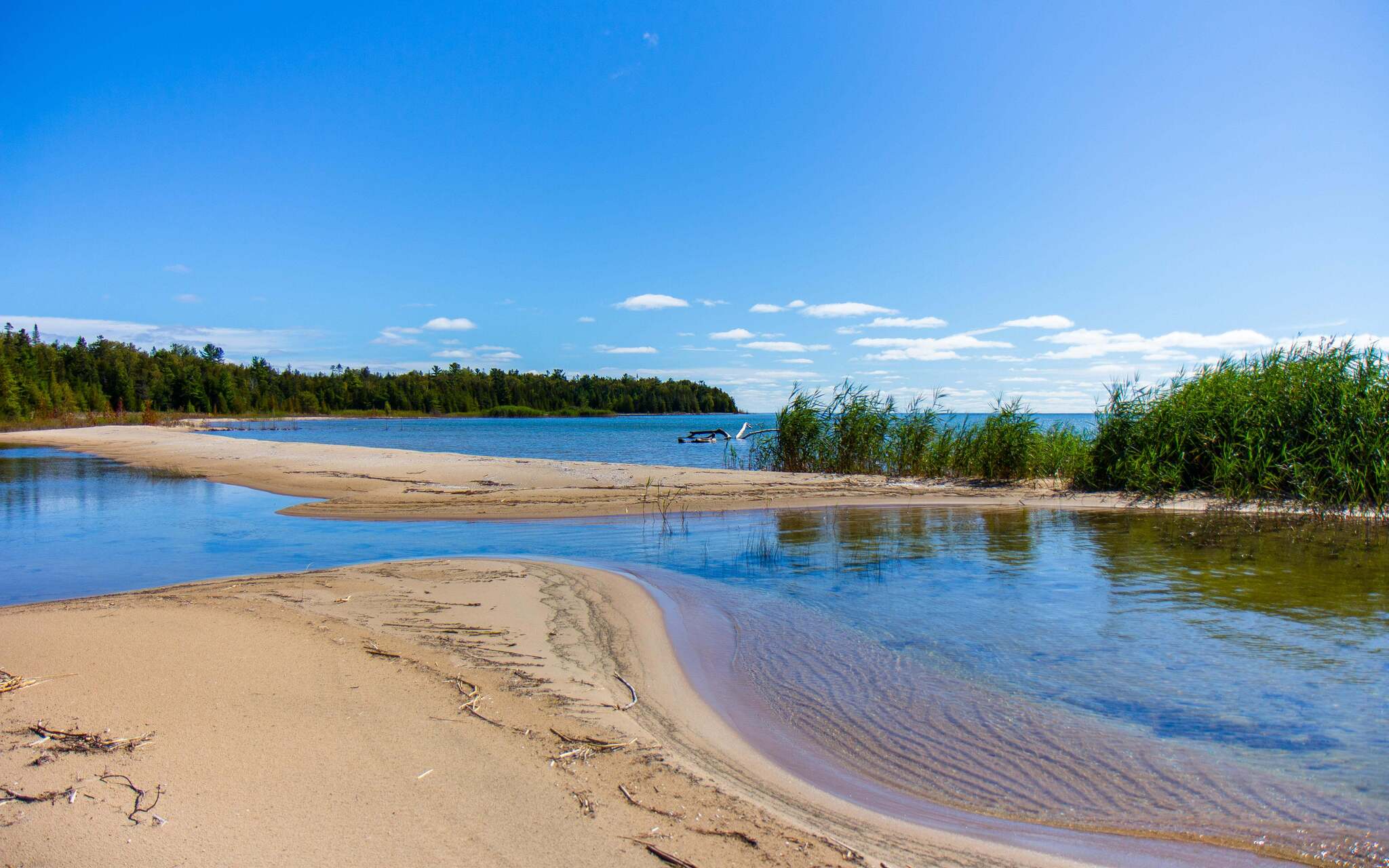 North Point Nature Preserve - mlive.com