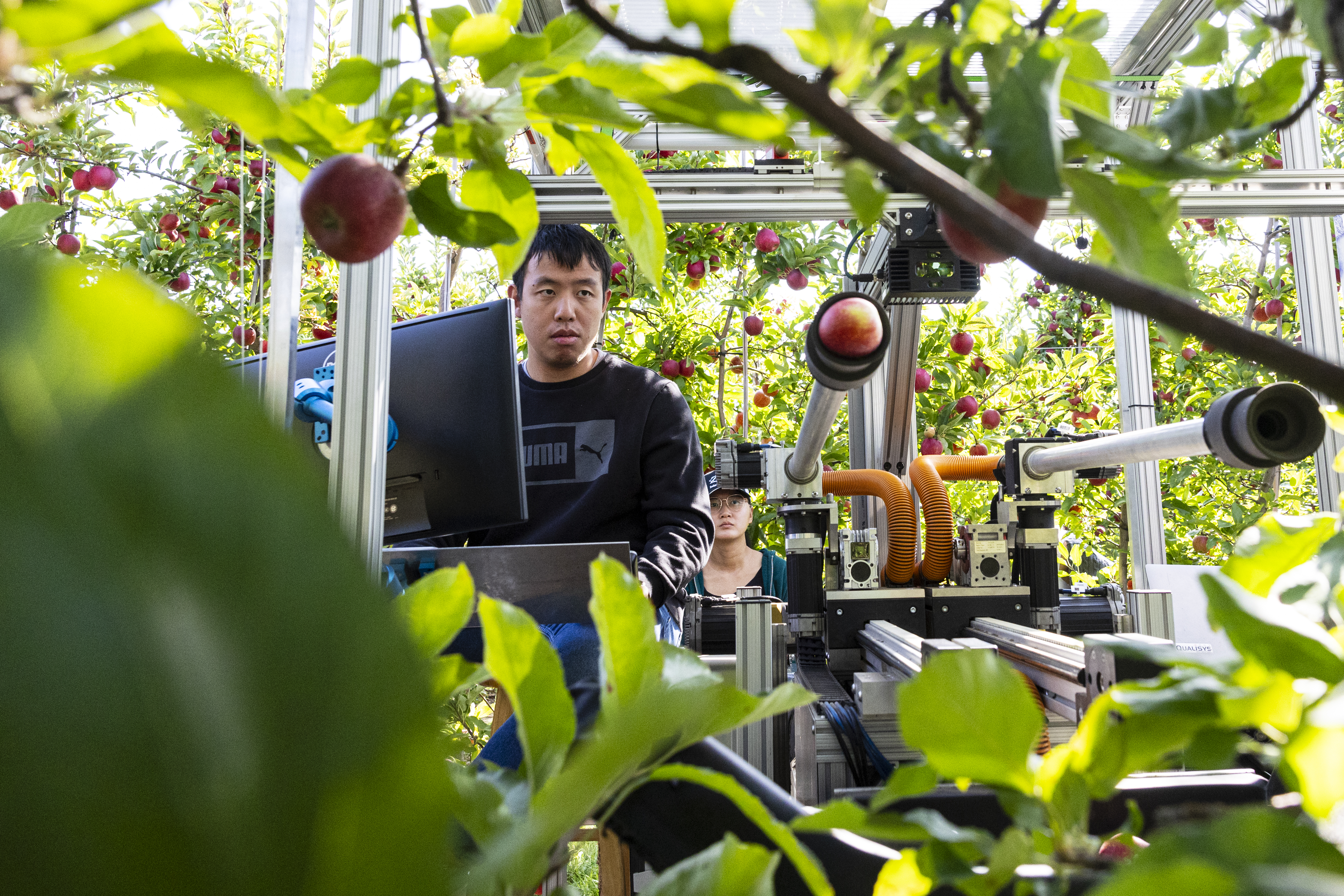 Michigan State University's Apple Picking Robot - mlive.com