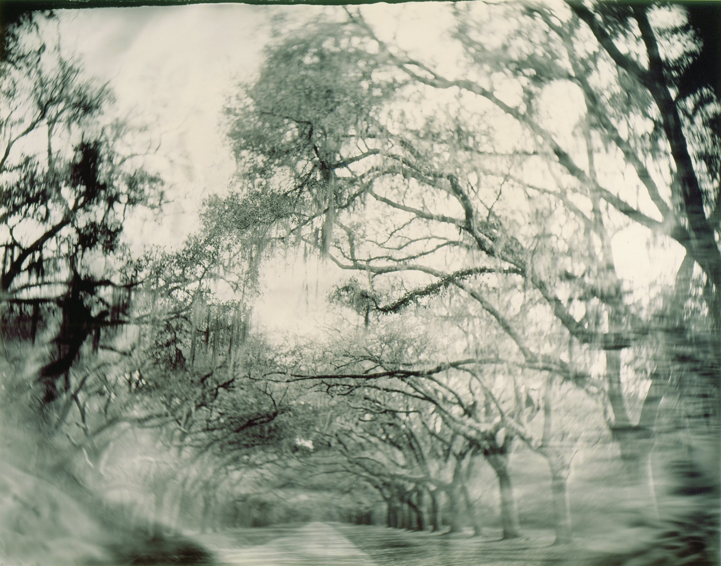 Sally Mann's 1996 commission for the High Museum's first "Picturing the South" exhibition was a turning point in her career.
Contributed by Sally Mann / High Museum of Art