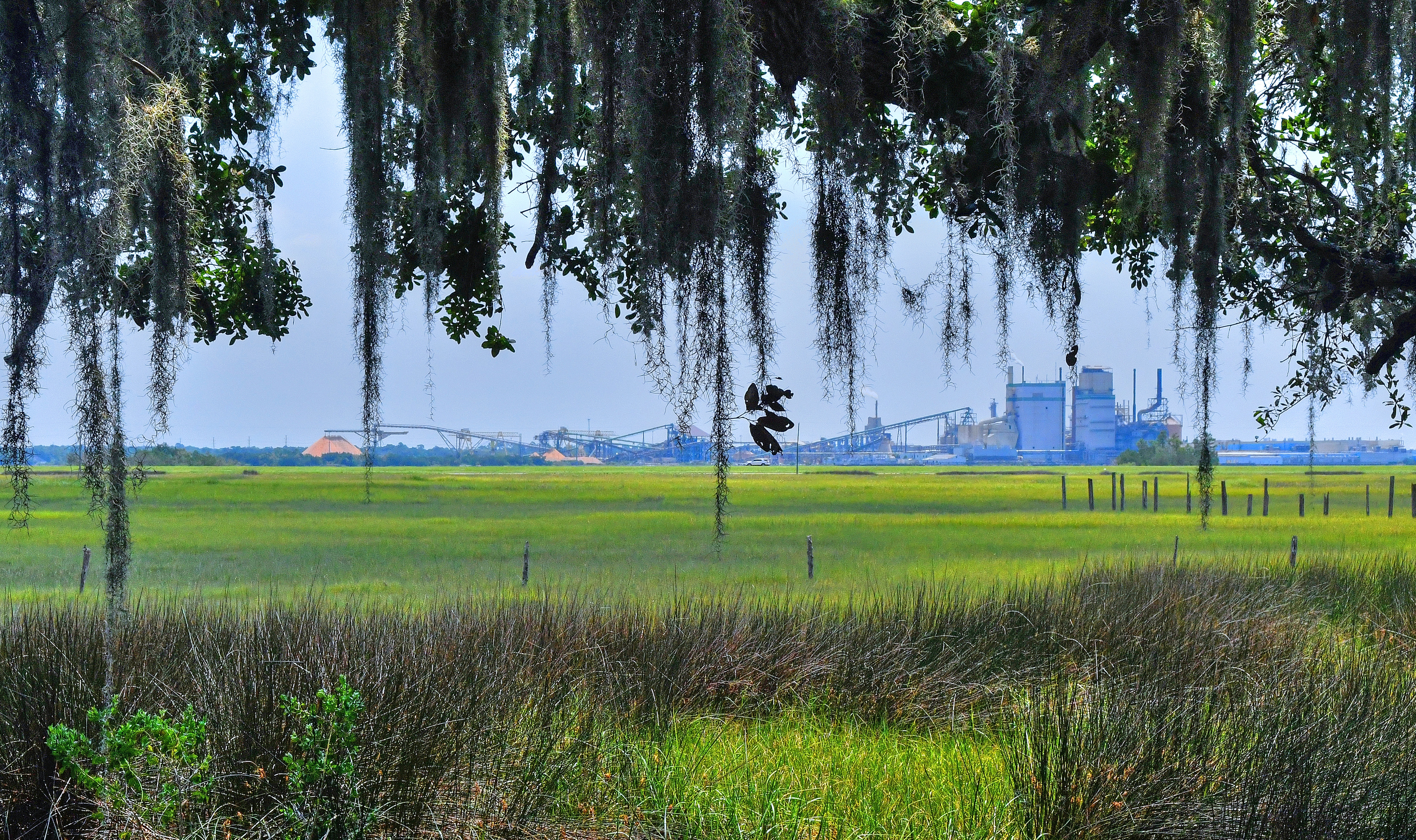Spanish moss hanging from ancient oak trees at the back of Potlikker Farm frames the view of the Morrison Slough, the East River, and the Georgia Pacific pulp and paper plant in Brunswick. Chris Hunt for The Atlanta Journal-Constitution