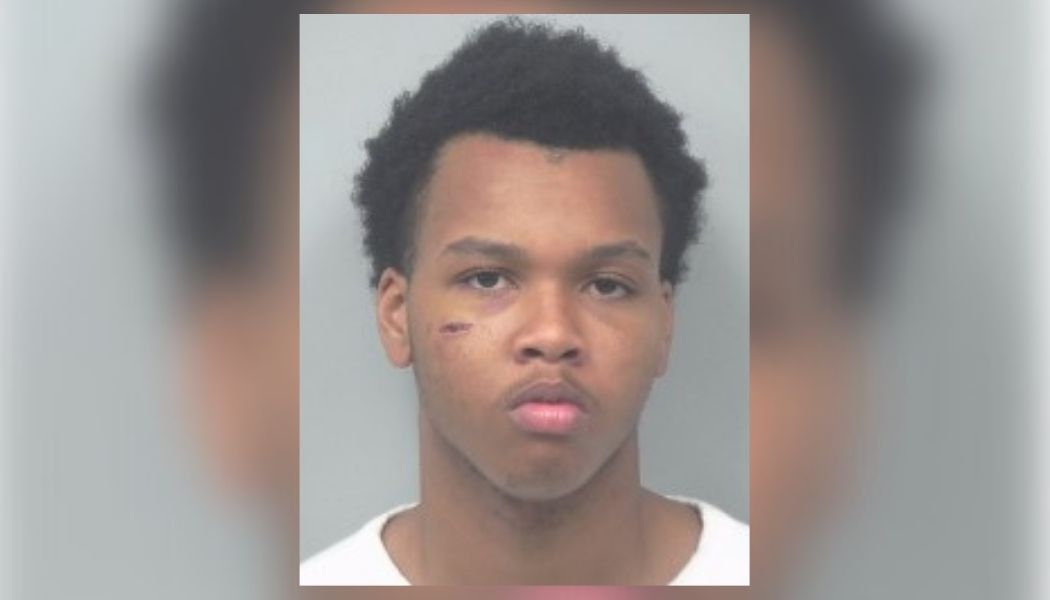 19-year-old charged with murder in shooting of brother in Duluth