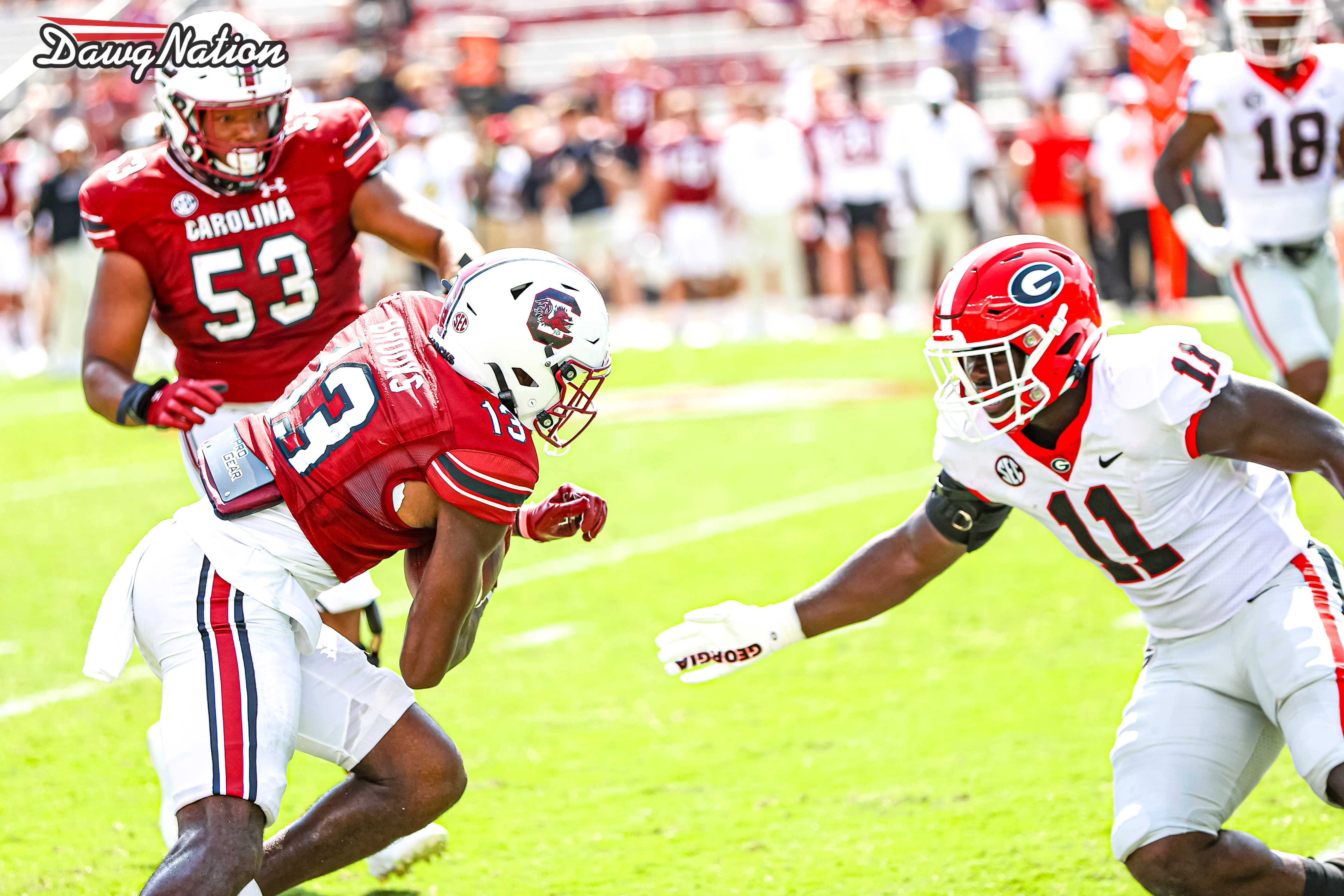 The Catch ~ AJ Greene  Georgia bulldogs football, Georgia football, Fsu  football