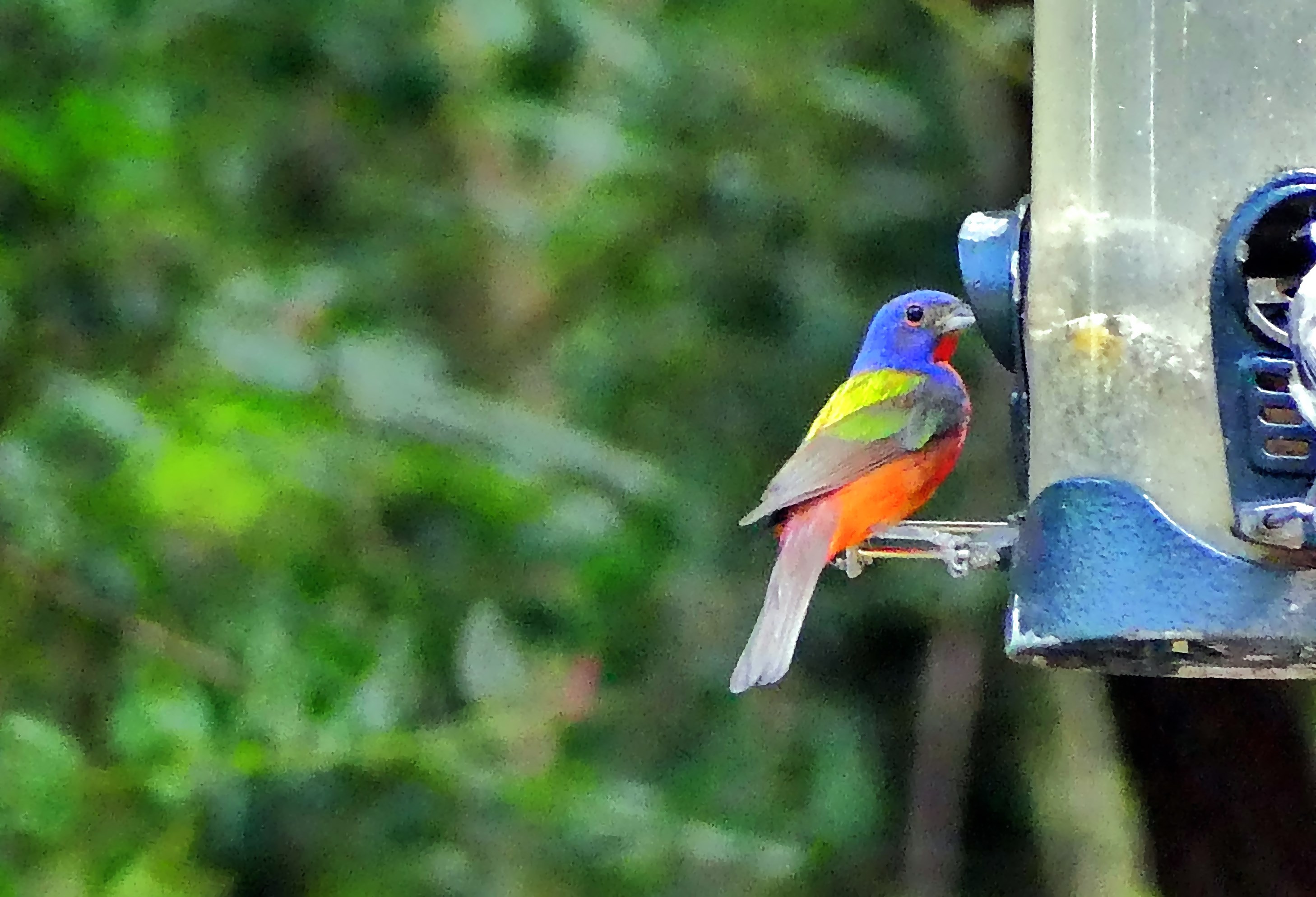 工芸品 milktea birds  Bunting 工芸品 milktea birds Bunting 工芸品 milktea birds Bunting 工芸品