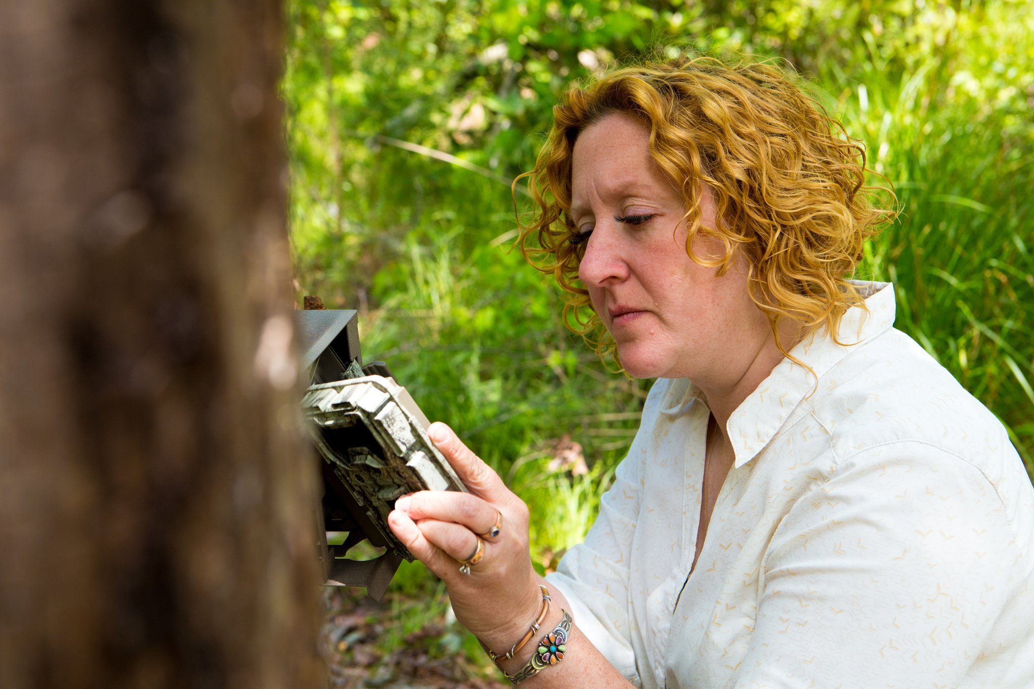 Emily Coffey, vice president of conservation at the Atlanta Botanical Garden, helps install a game camera at a bog in North Georgia to keep track of invasive feral hogs. The hogs pose a danger to the last wild population of purple pitcher plants in Georgia. (Casey Sykes, for The Atlanta Journal-Constitution.)