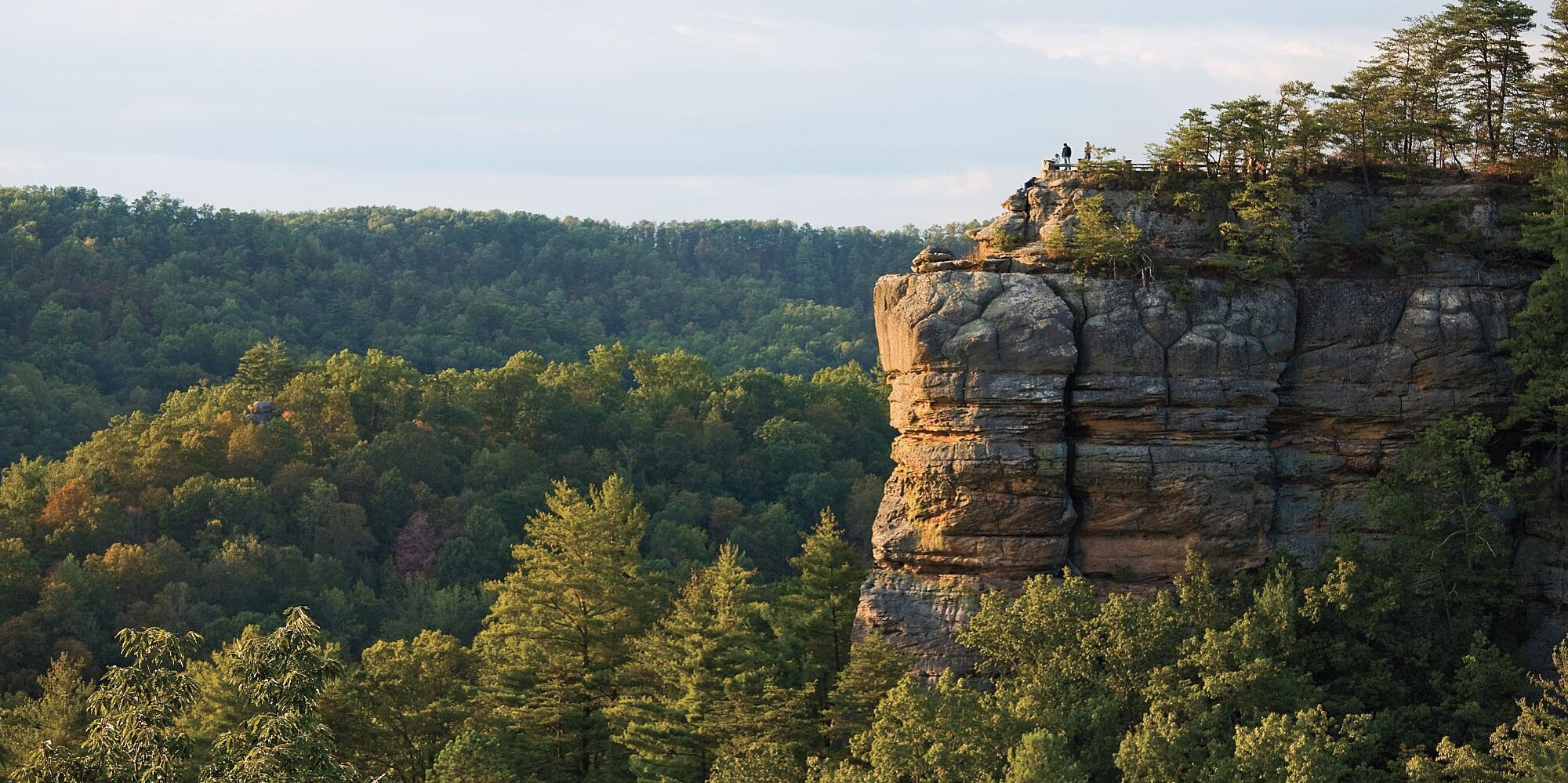 Boy survives fall off cliff in Kentucky