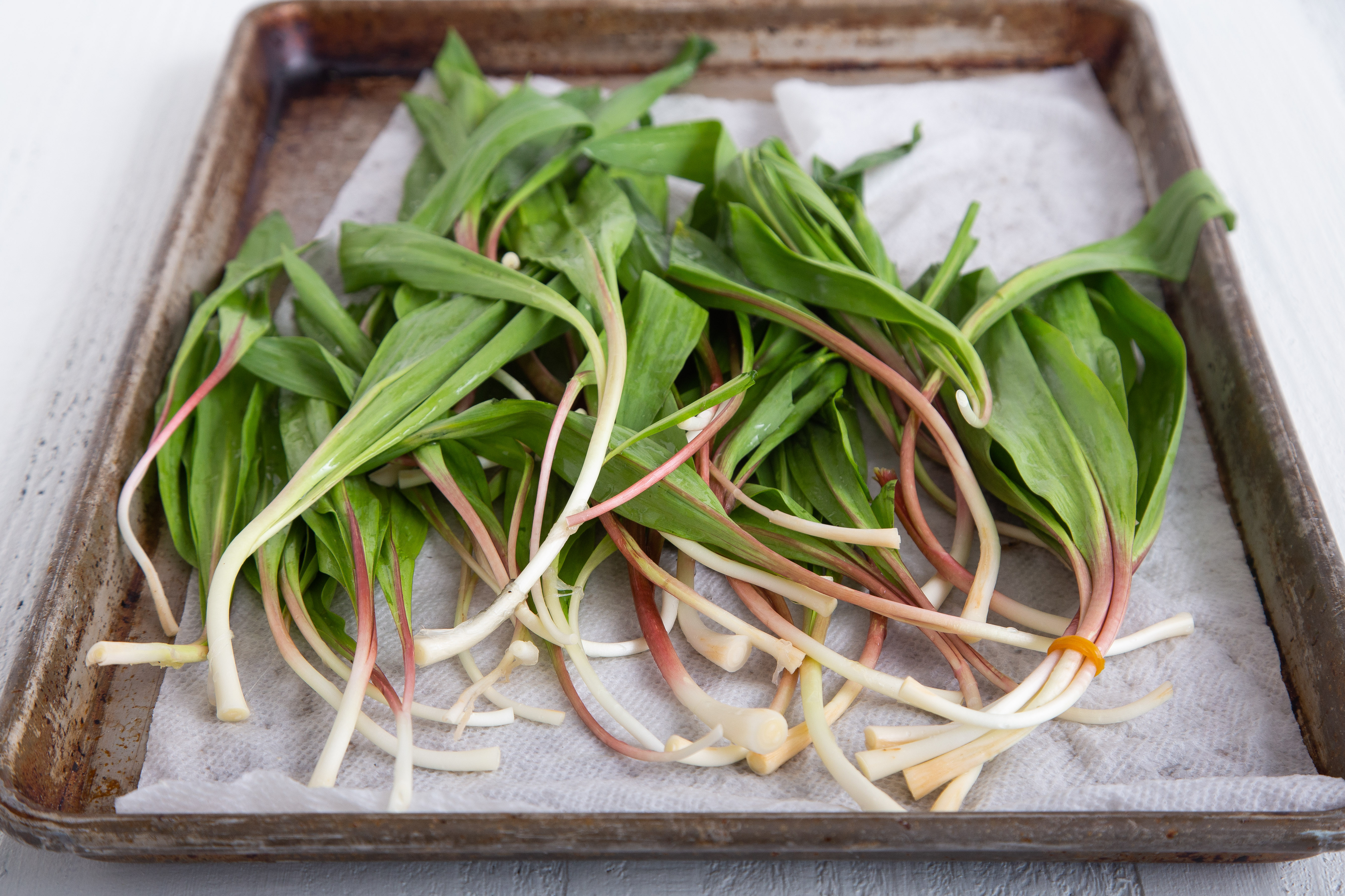 what are ramps in cooking