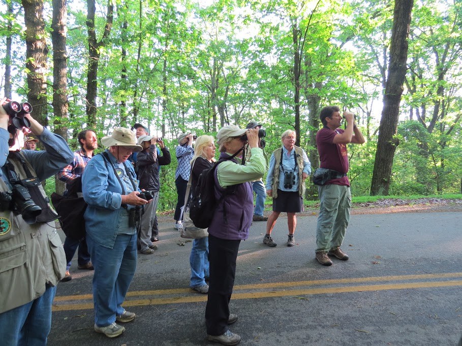 Adam Betuel leads a group of birders in a Kennesaw Mountain birding walk in 2019. The coronavirus pandemic hs put a temporary halt to these expeditions, though the Atlanta Audubon Society, now called Georgia Audubon, sponsors "virtual" birding walks online.