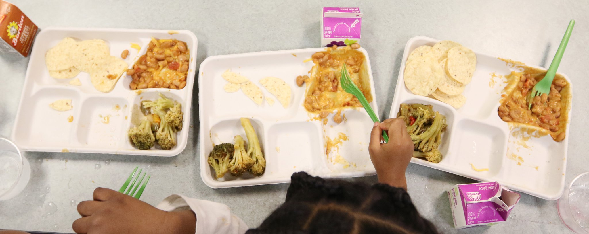 Springfield students' research help school launch new biodegradable lunch  trays 