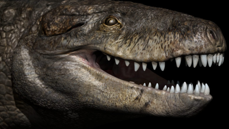 30-Foot 'Terror Crocodile' Ambushed Dinosaurs at Water's Edge, Smart News