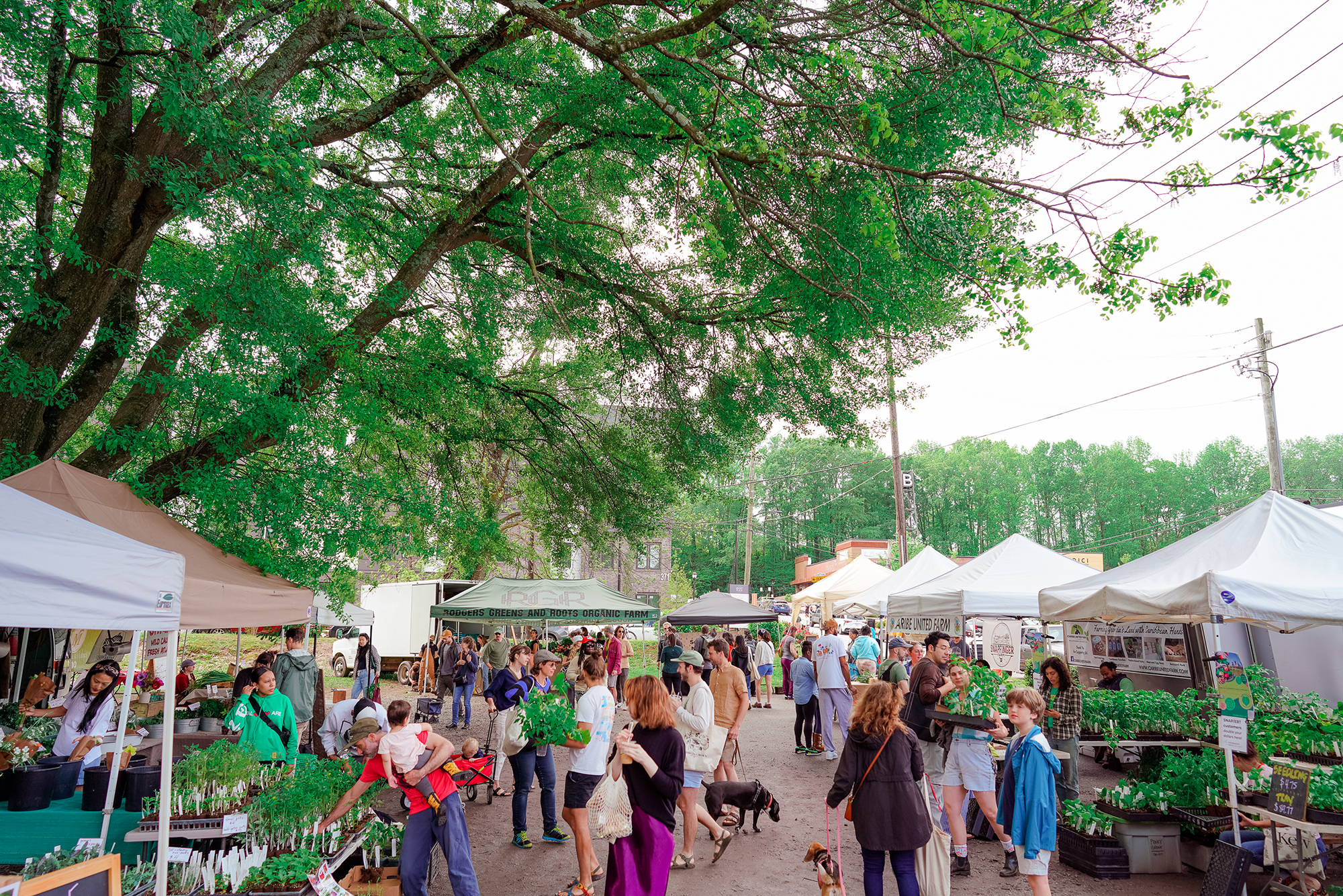 Community Farmers Markets - Farmers markets bringing fresh and locally  grown food to the Atlanta area.