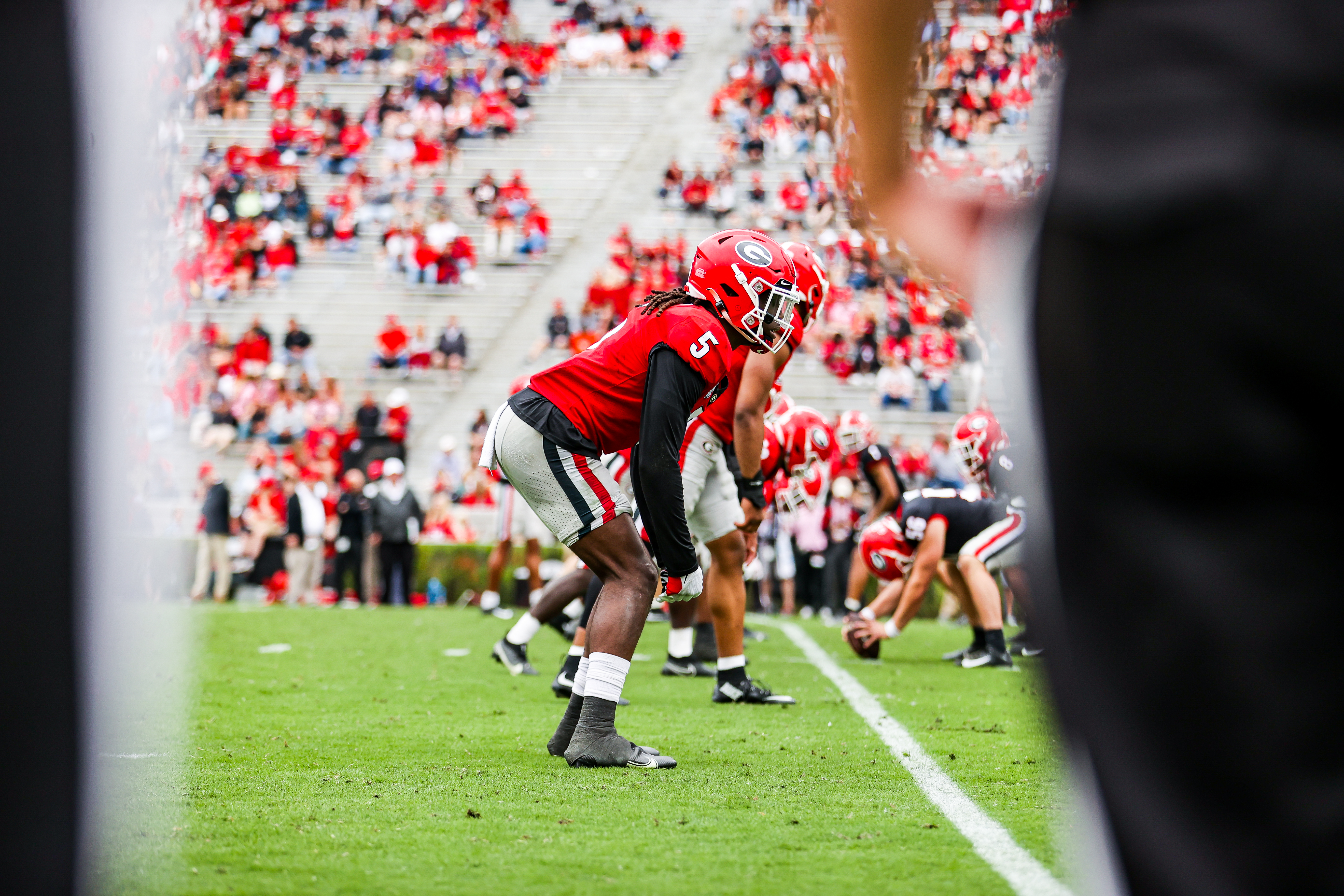 NFL Draft Profile: Georgia Bulldogs Tight End Darnell Washington - Hogs  Haven