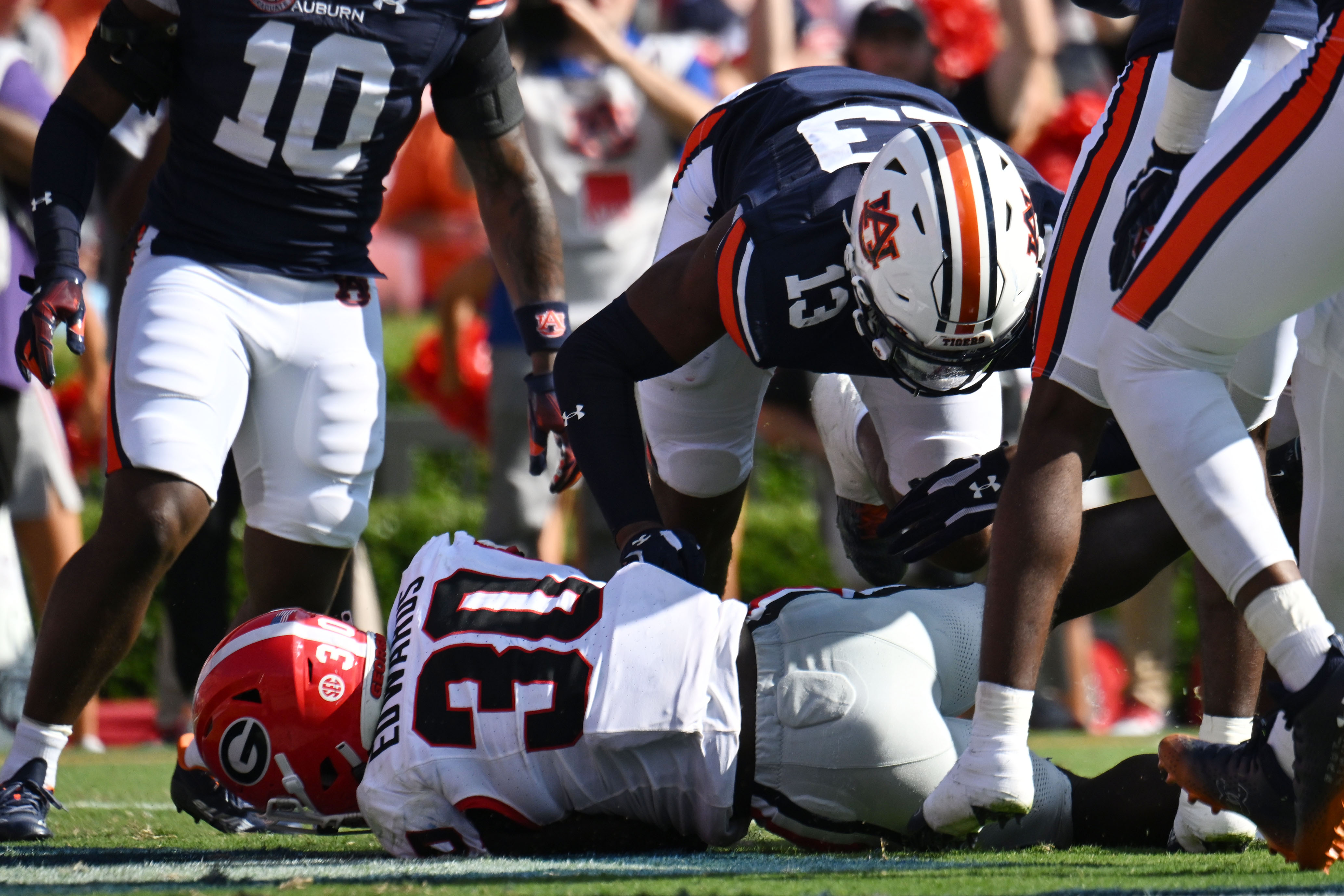 How Uga the Georgia Bulldog Preps for Game Day – Garden & Gun